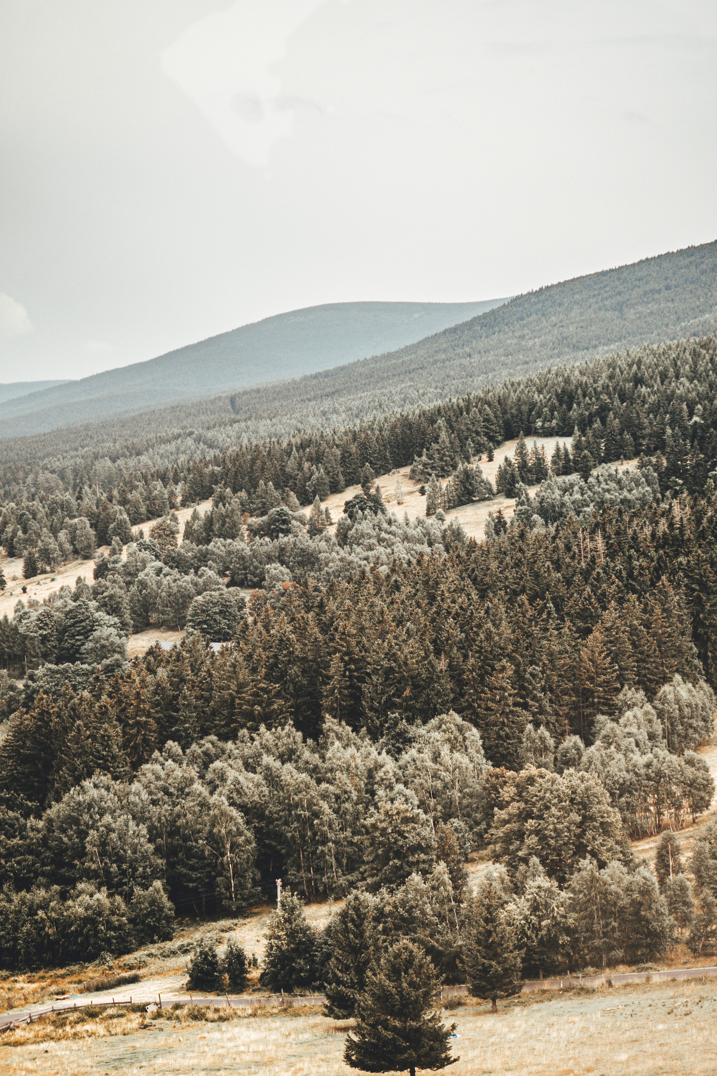 Photo by wojtekpaczes