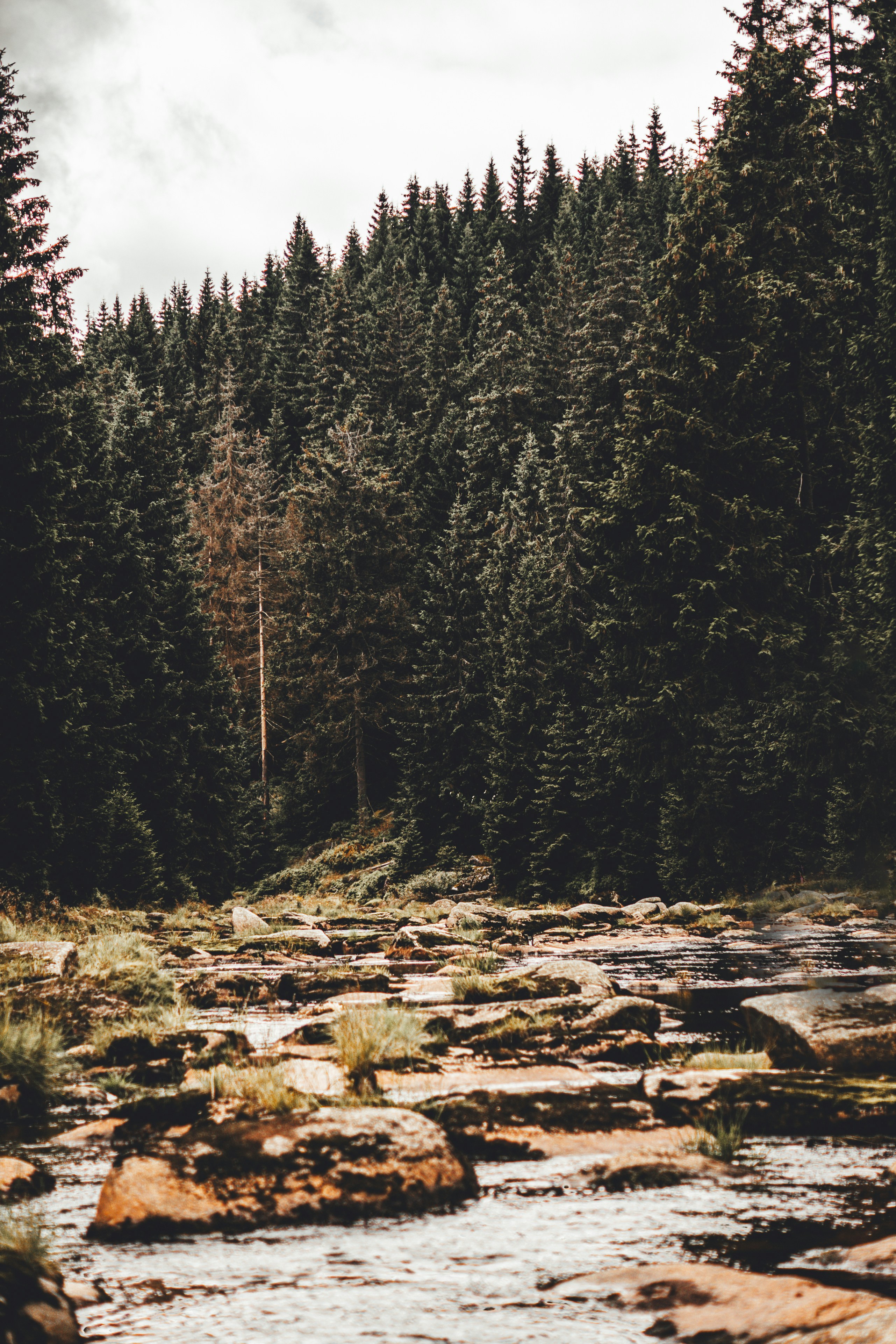 Photo by wojtekpaczes