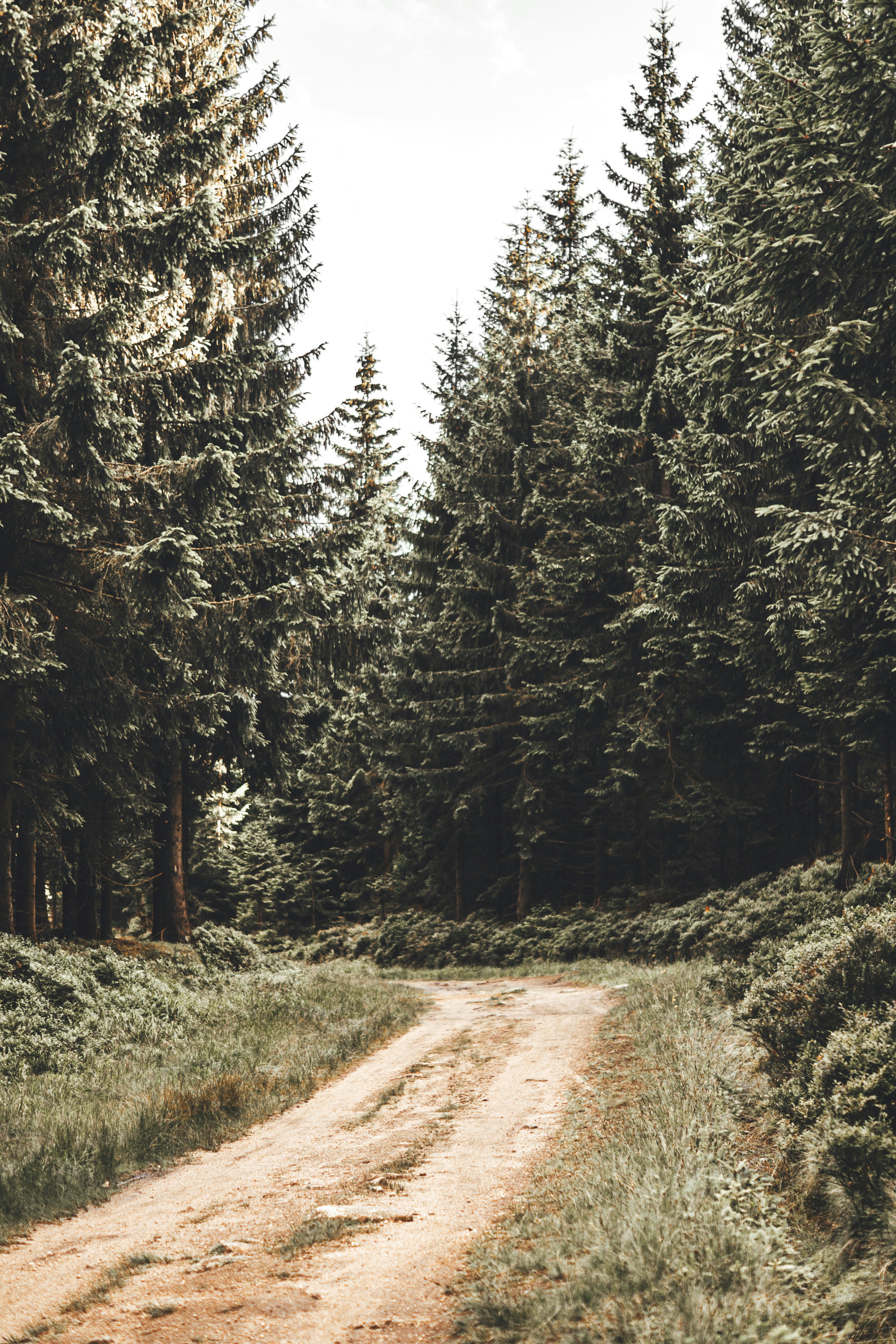 Photo by wojtekpaczes