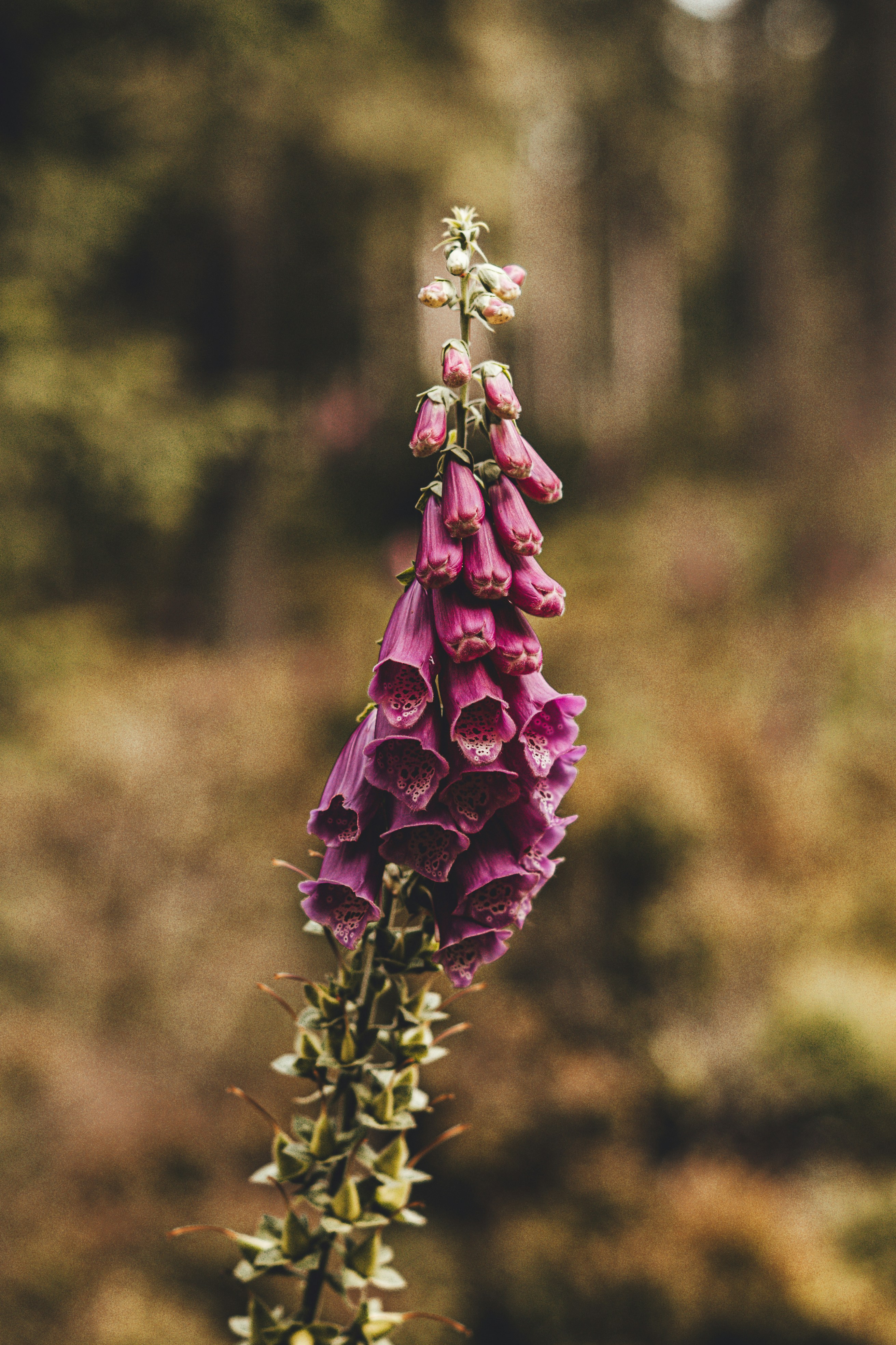 Photo by wojtekpaczes