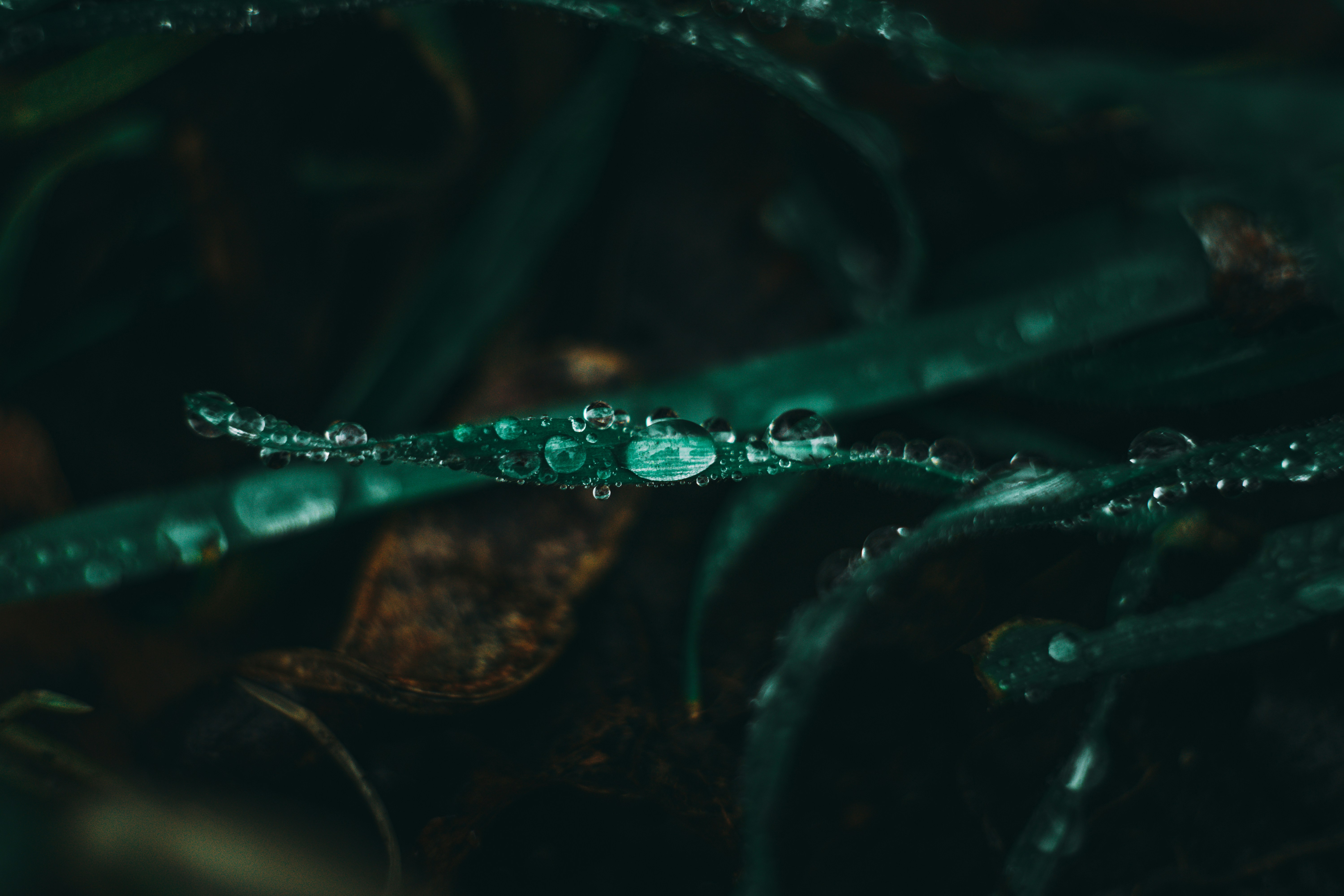 Photo by wojtekpaczes