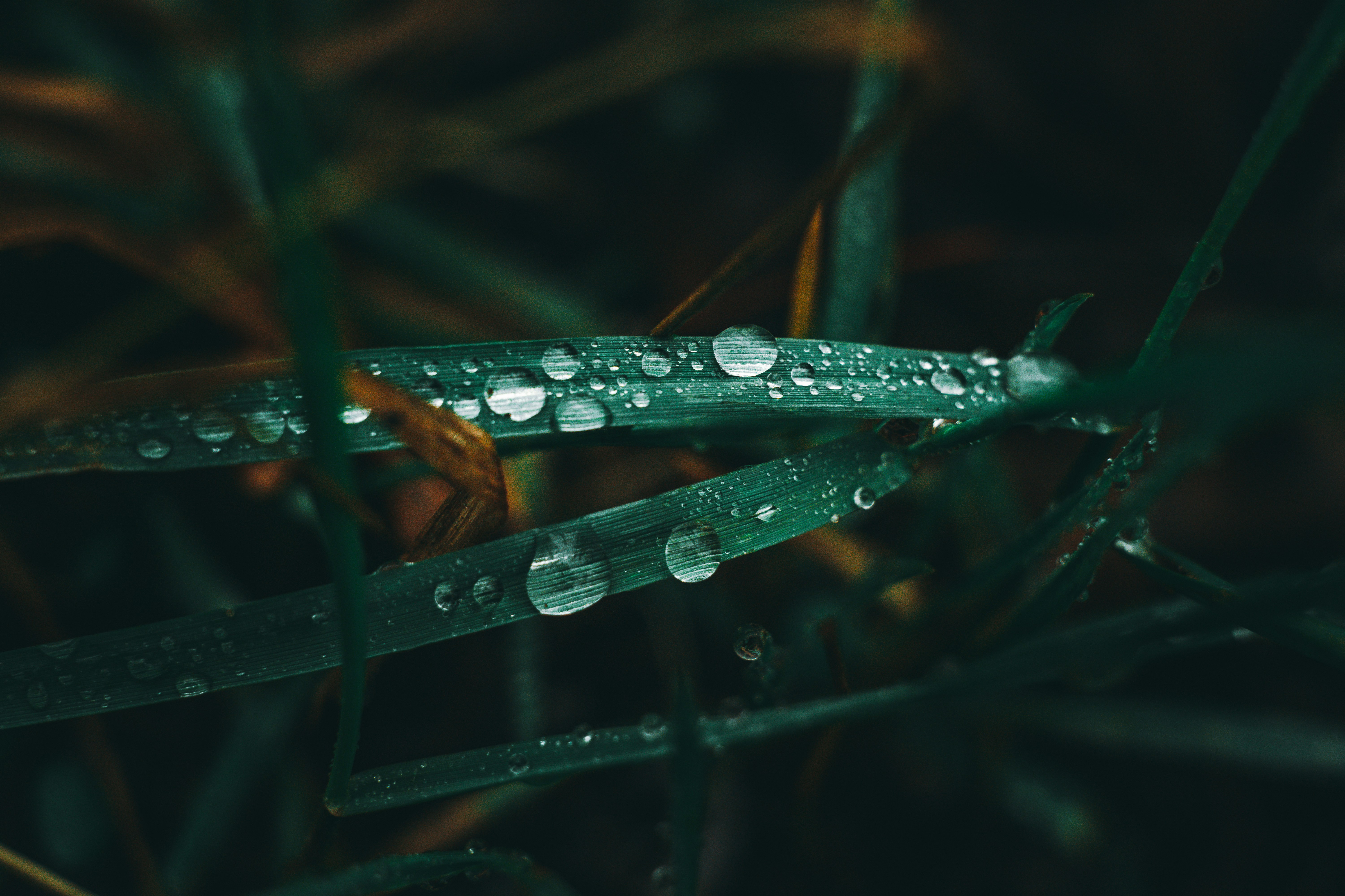 Photo by wojtekpaczes