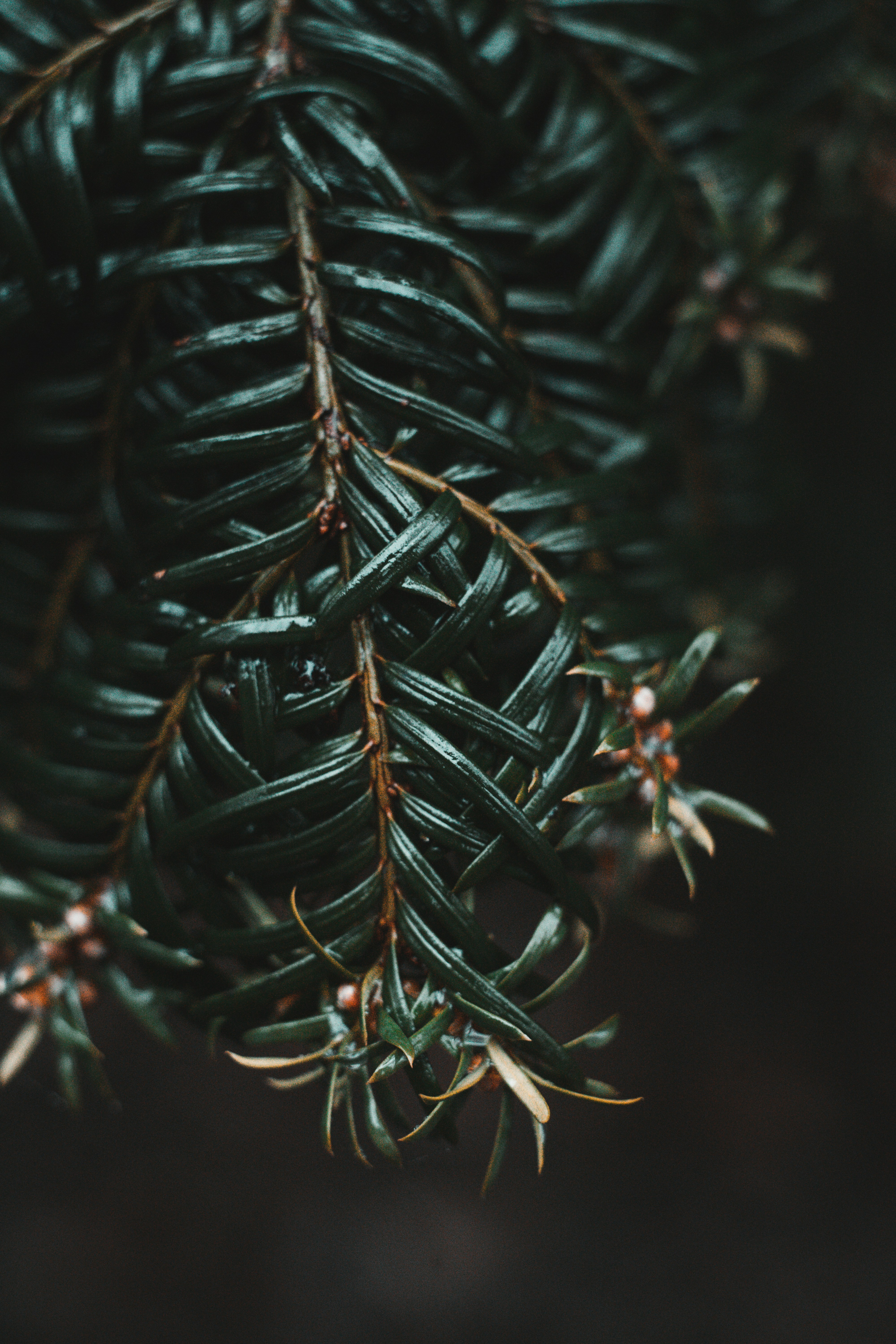 Photo by wojtekpaczes