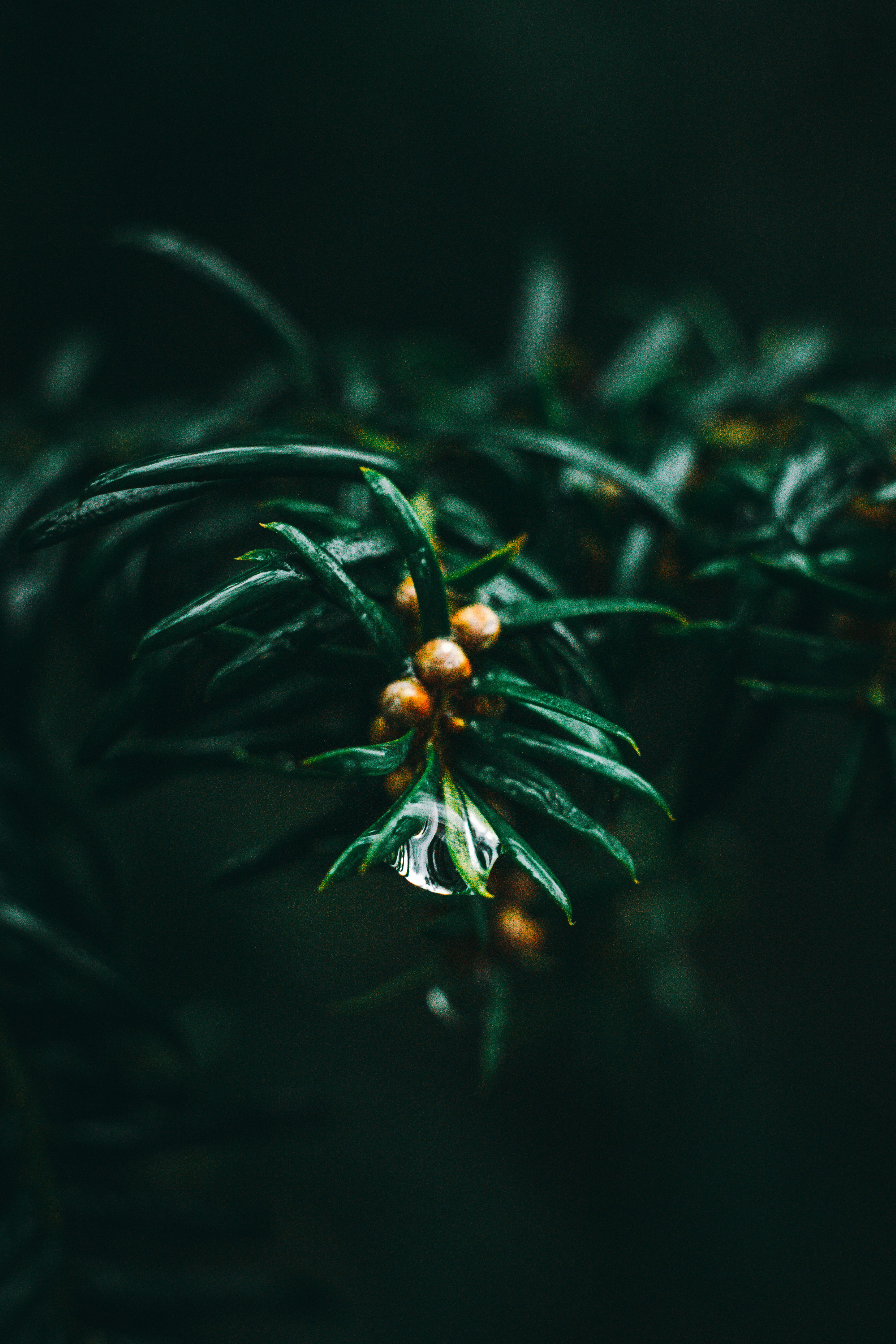 Photo by wojtekpaczes