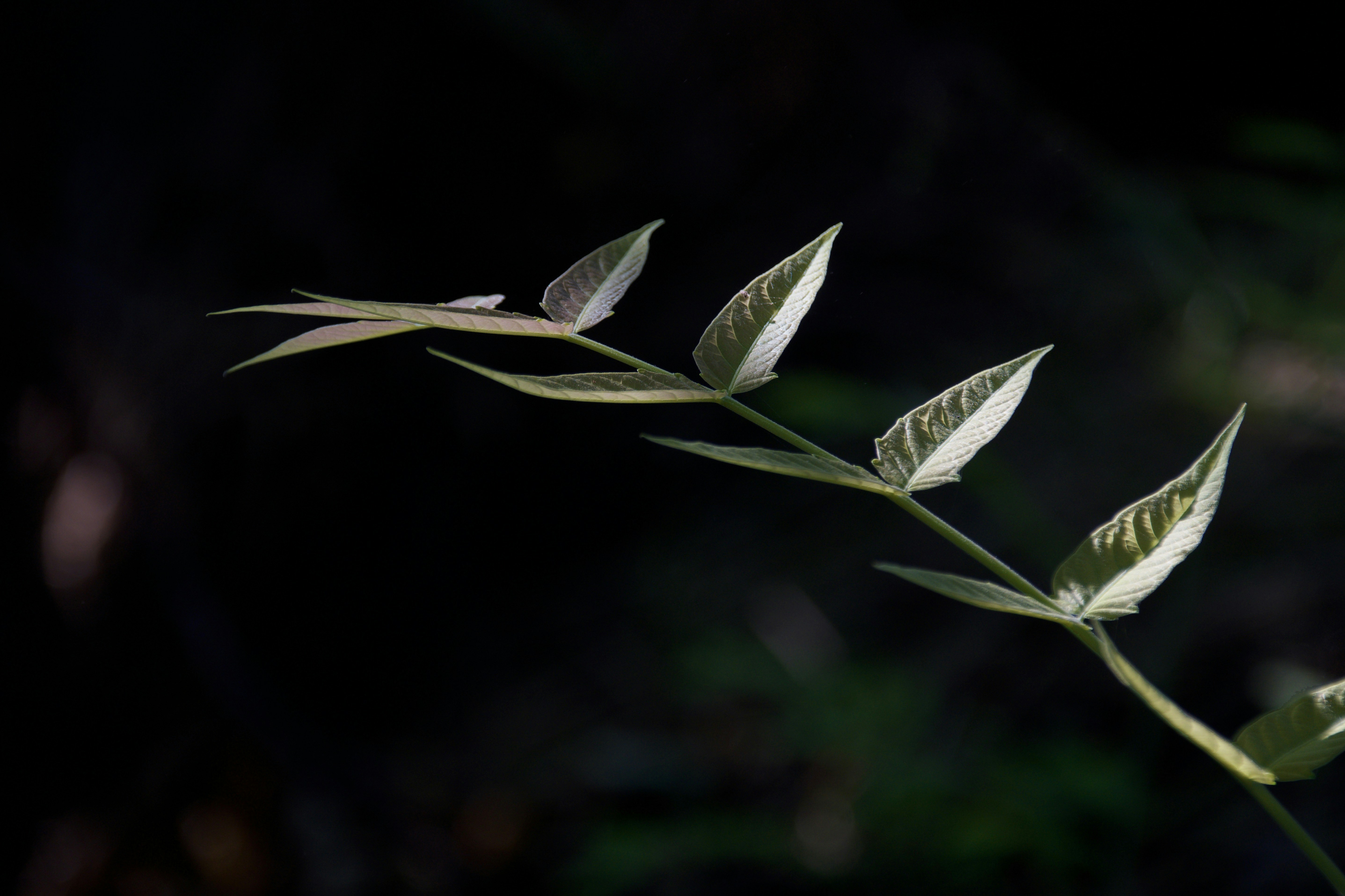Photo by mariobeducci
