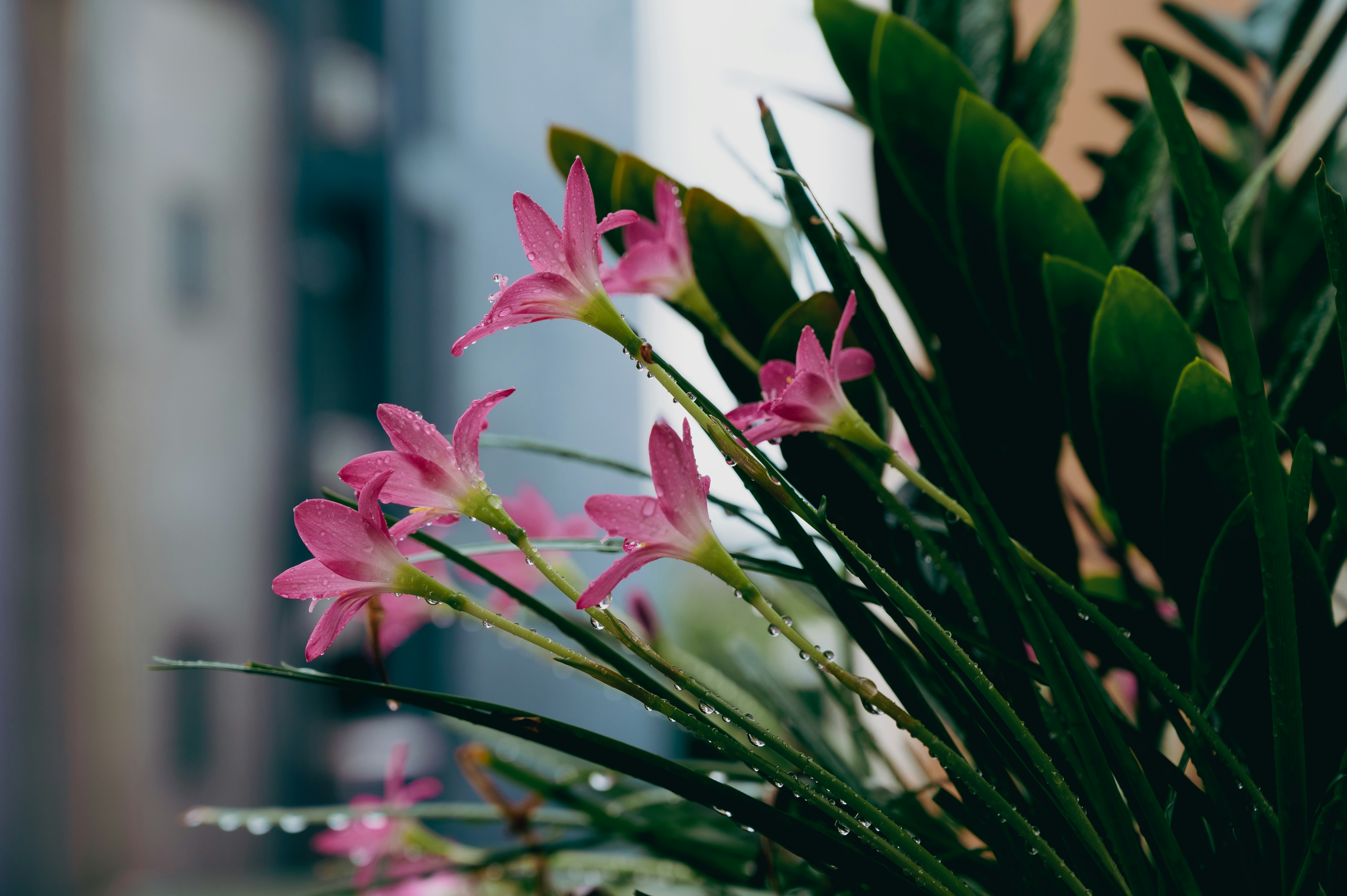 Photo by manhterry93