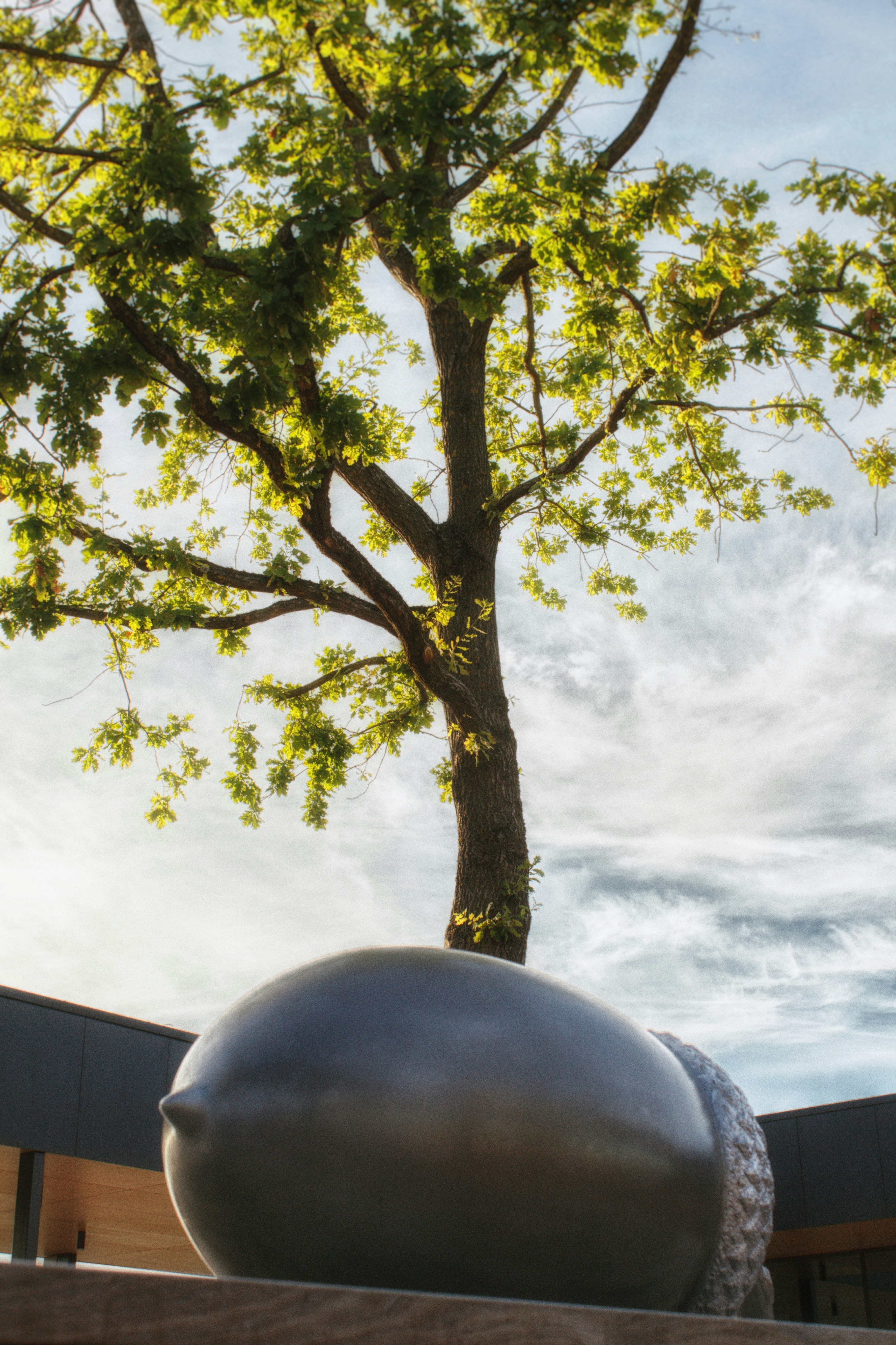 a large metal ball sitting next to a tree