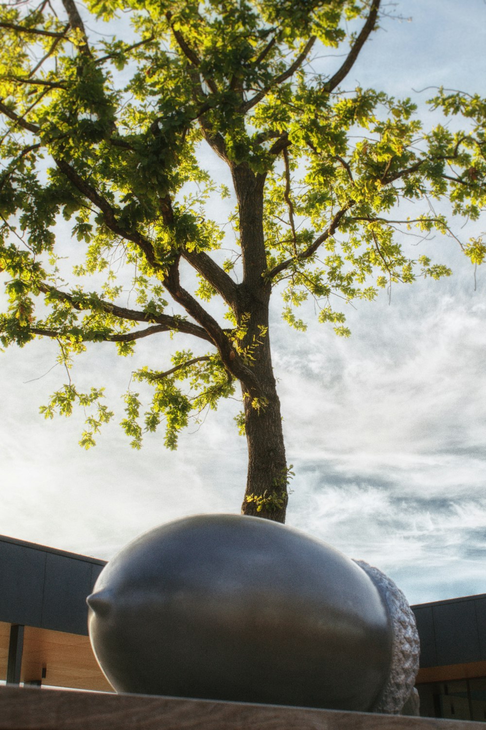 a large metal ball sitting next to a tree