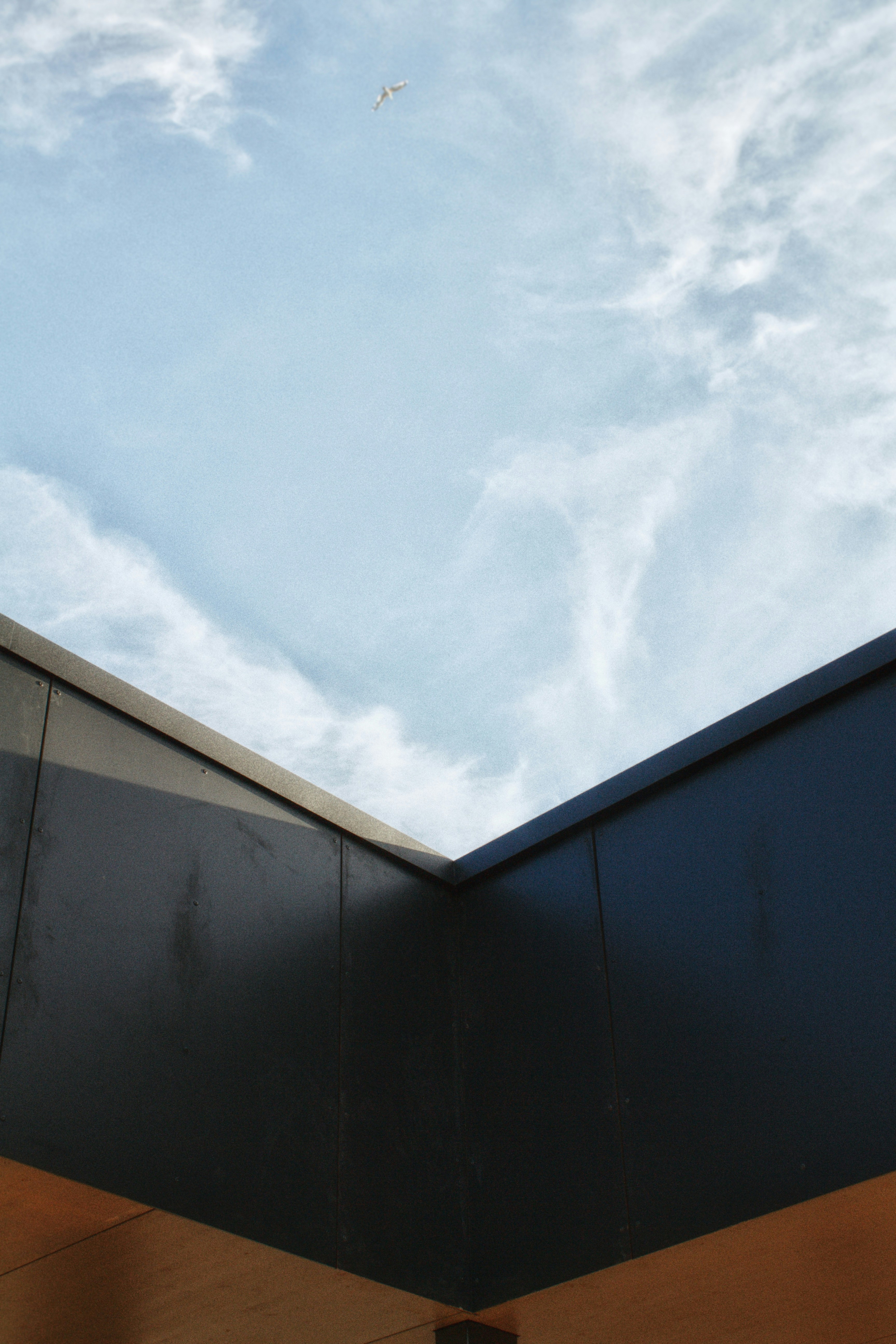 Photo by maximyuryshev