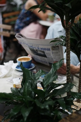 A person reading a newspaper in a cozy café.