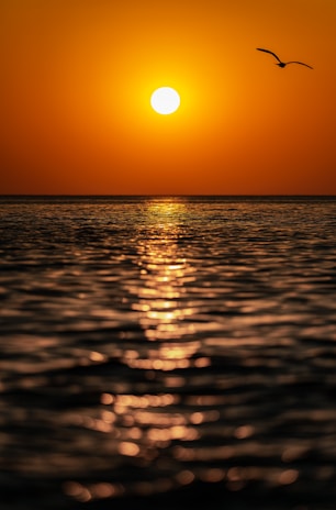 An elegant sunset over the ocean, symbolizing African beauty.