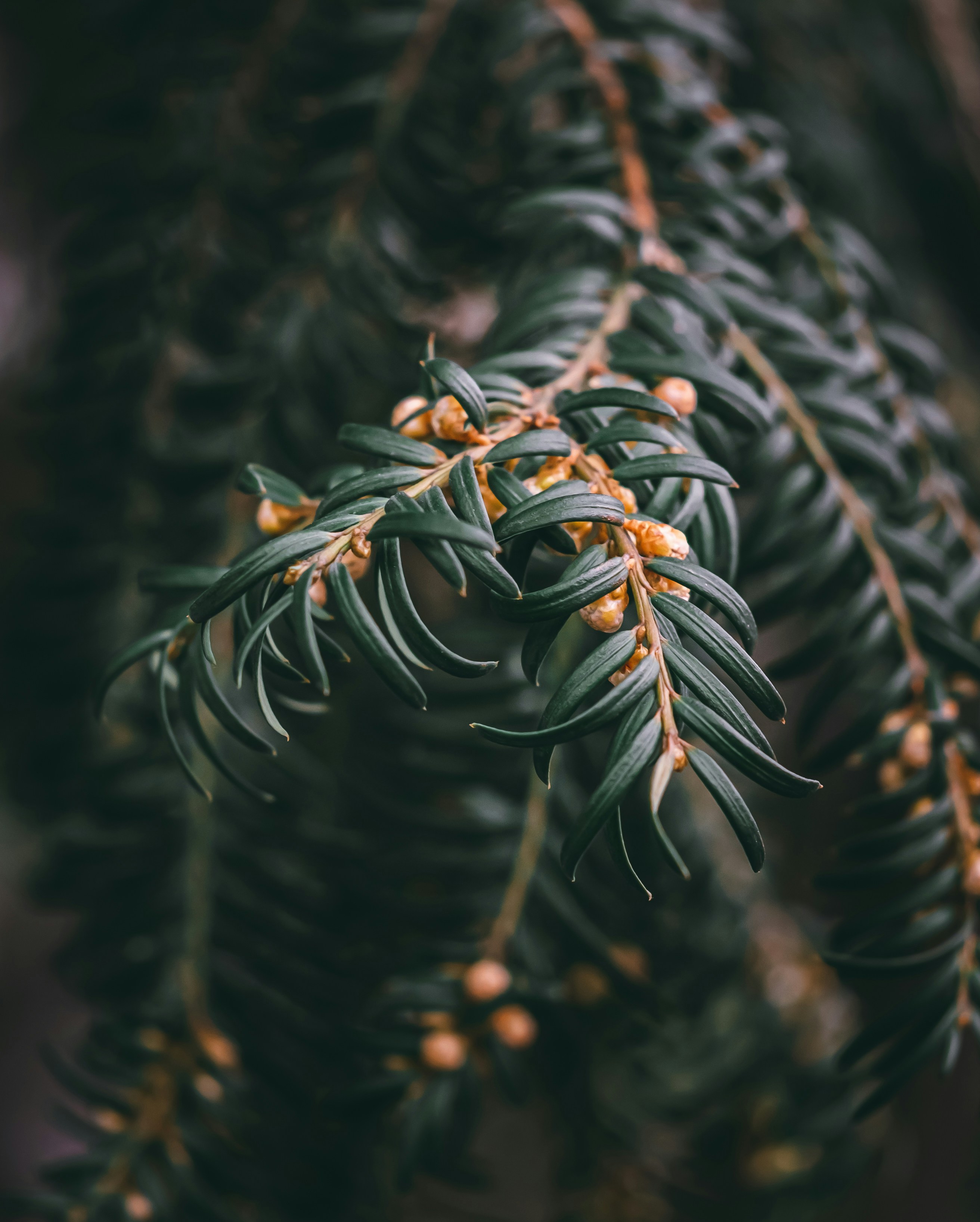 Photo by wojtekpaczes