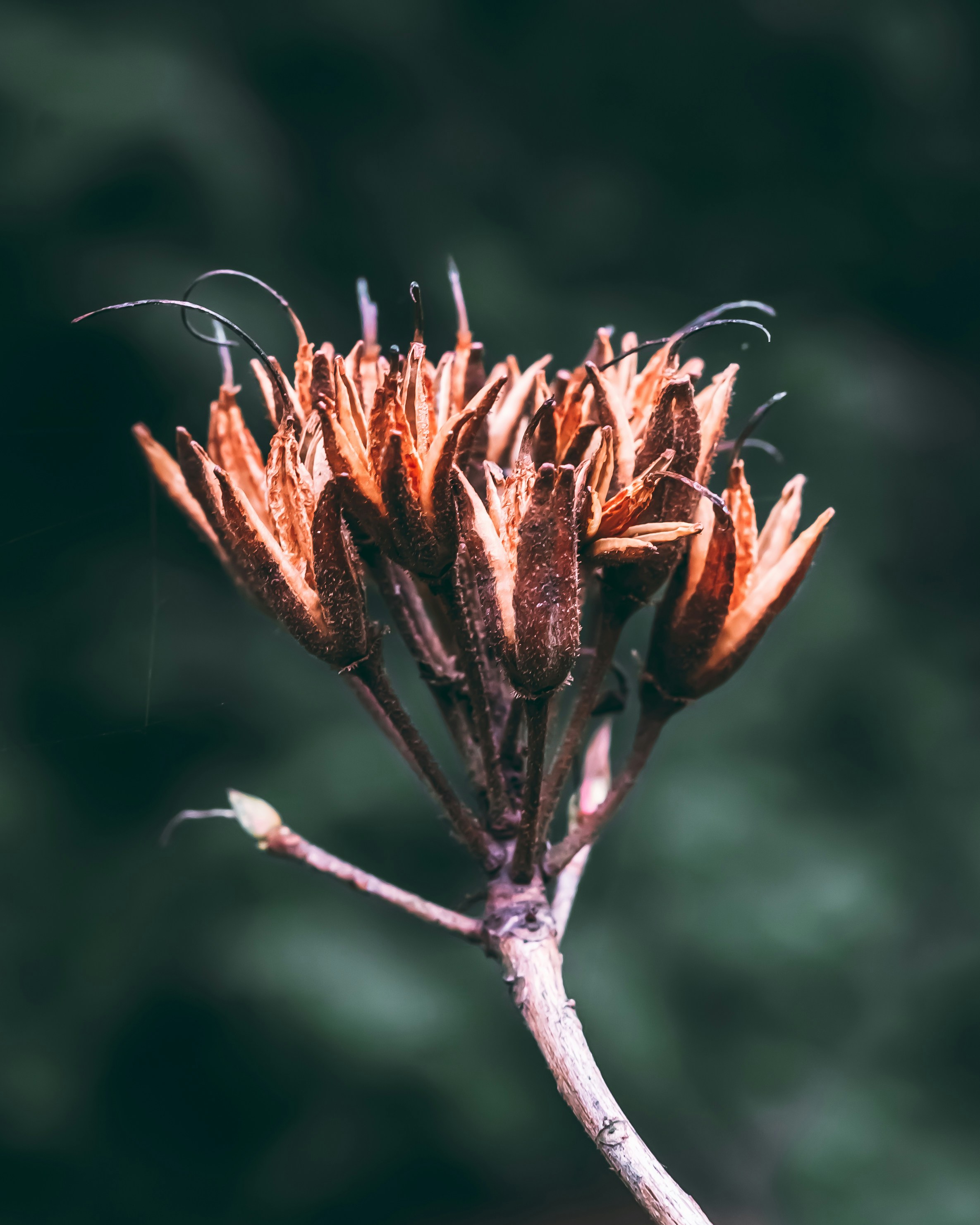 Photo by wojtekpaczes