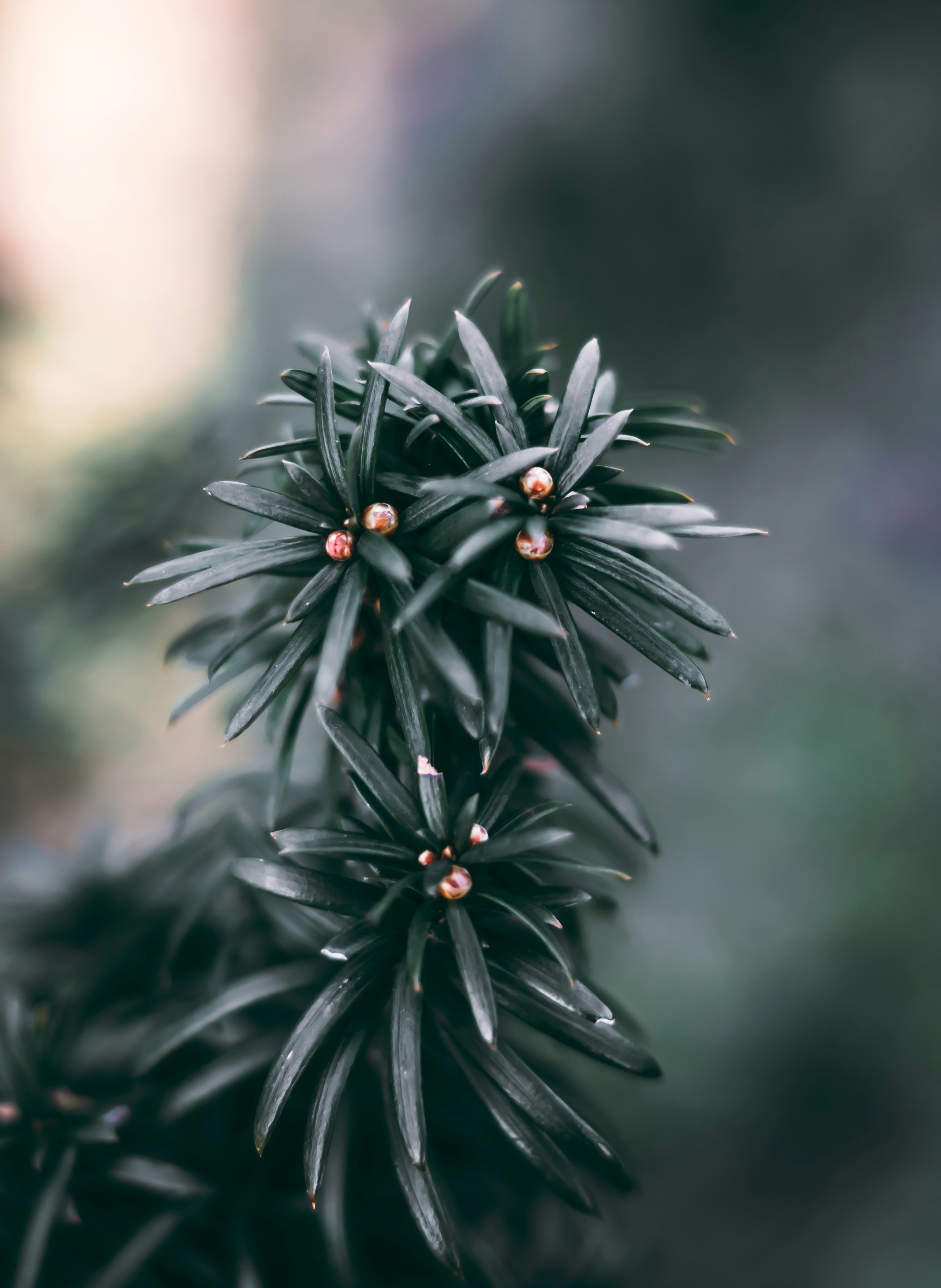 Photo by wojtekpaczes