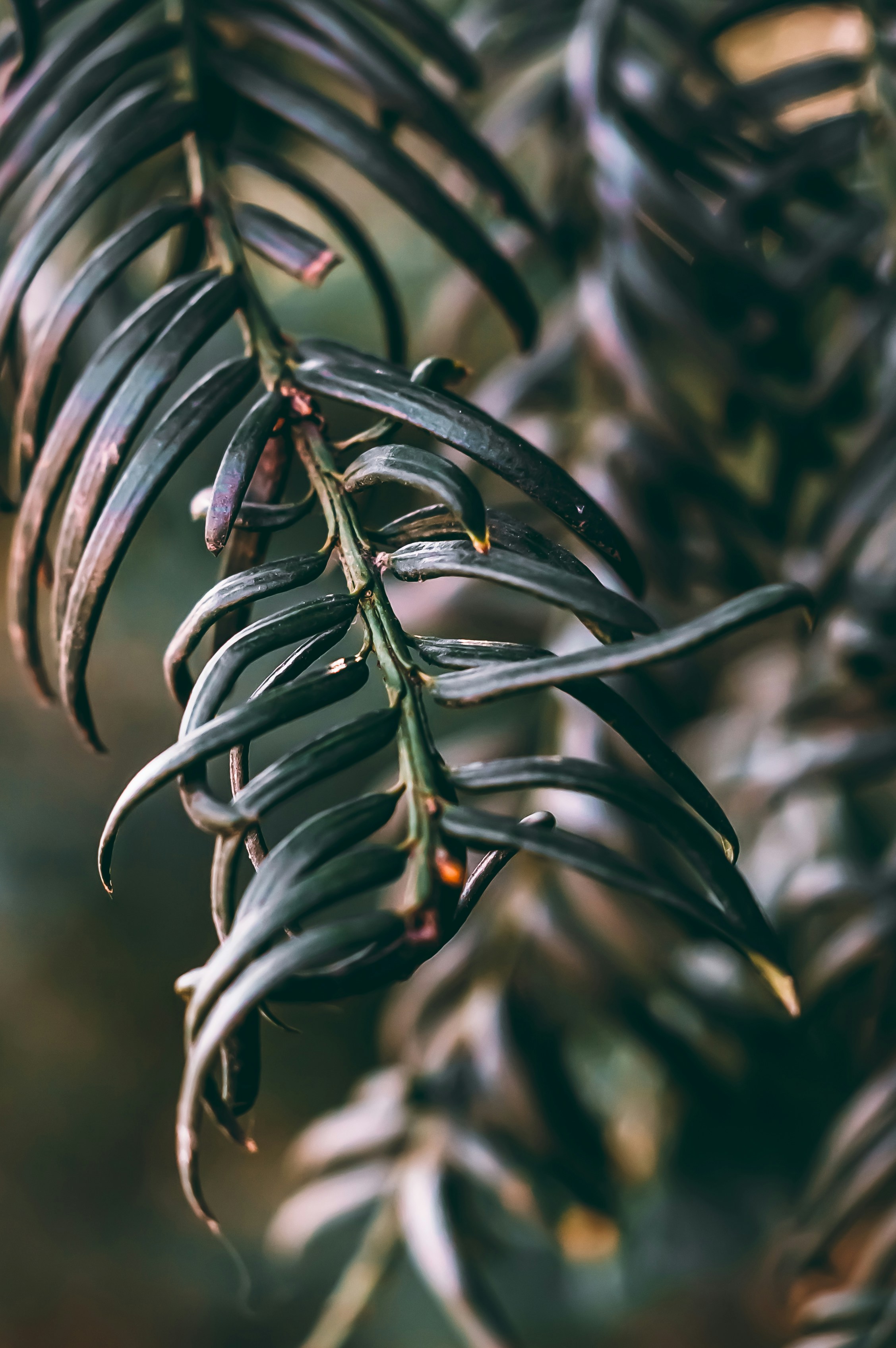 Photo by wojtekpaczes