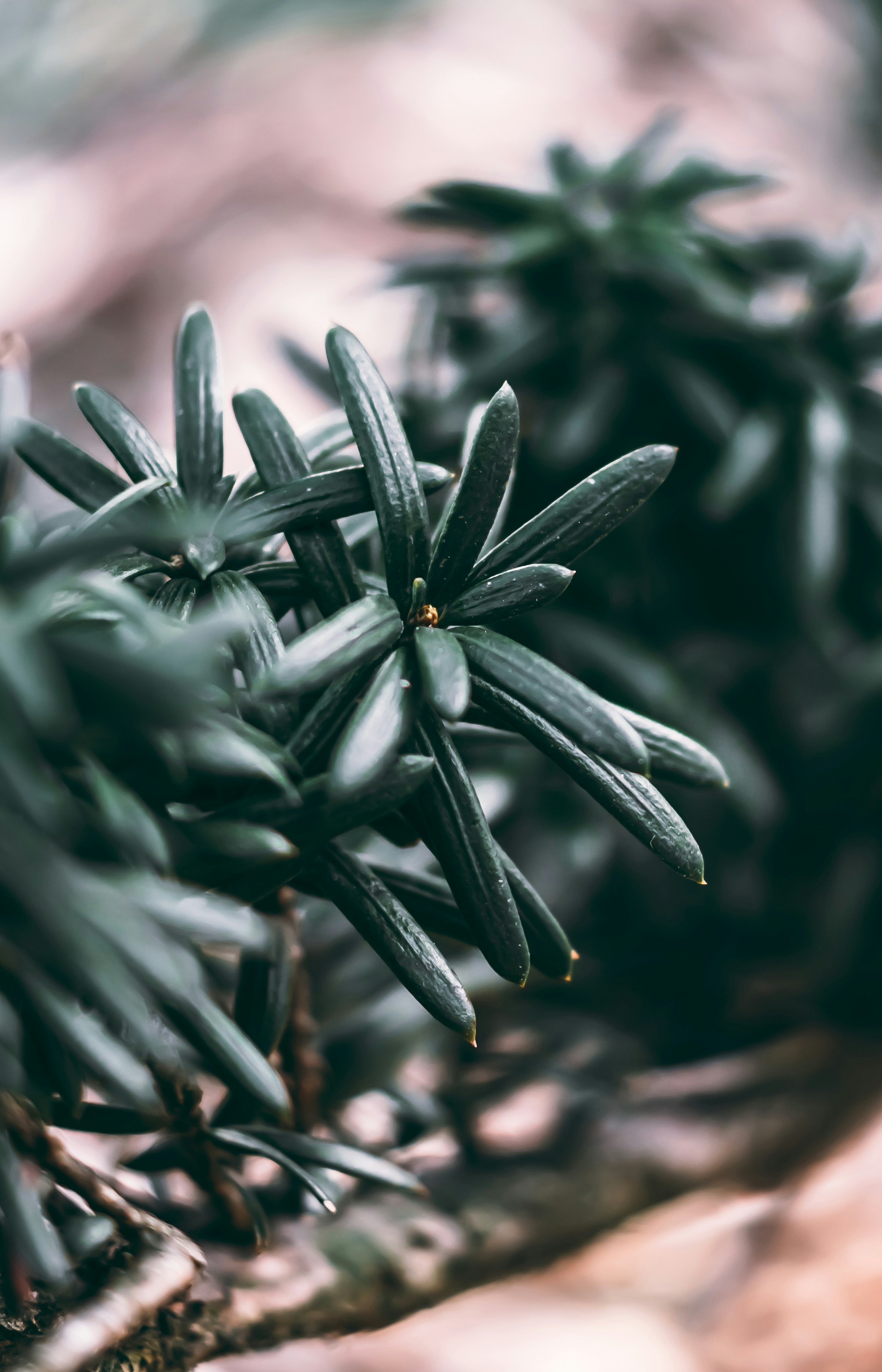 Photo by wojtekpaczes