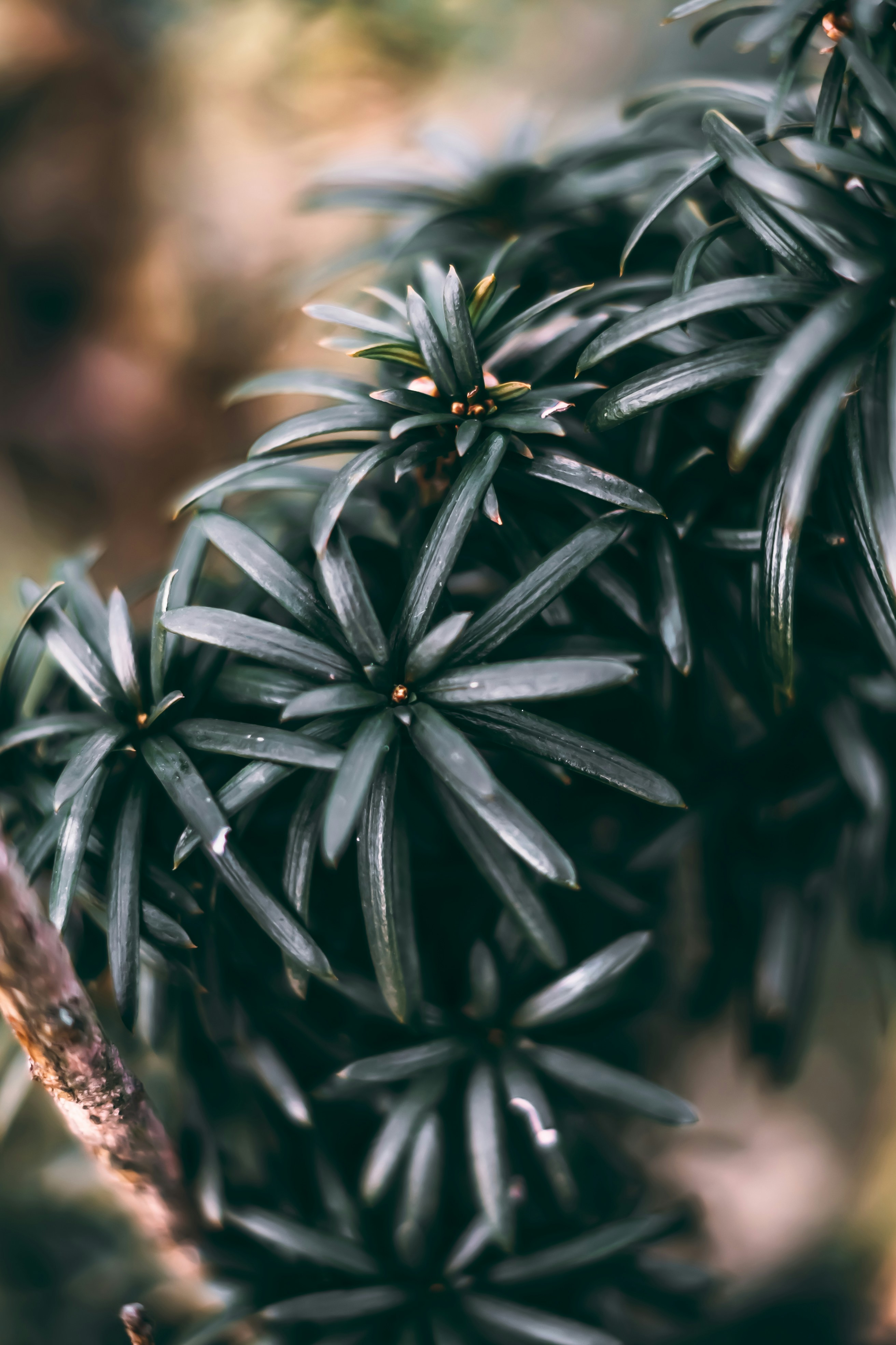 Photo by wojtekpaczes