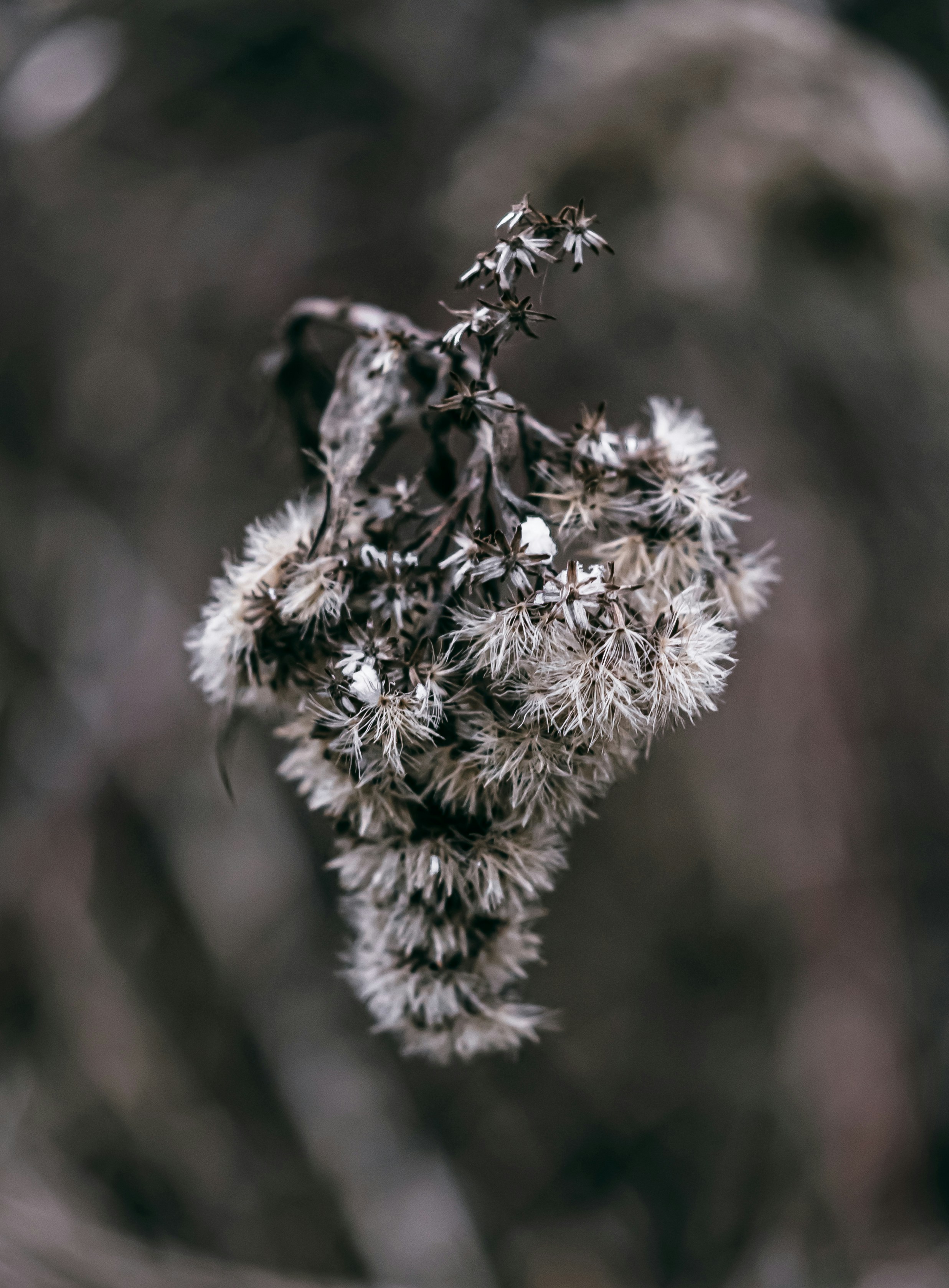 Photo by wojtekpaczes