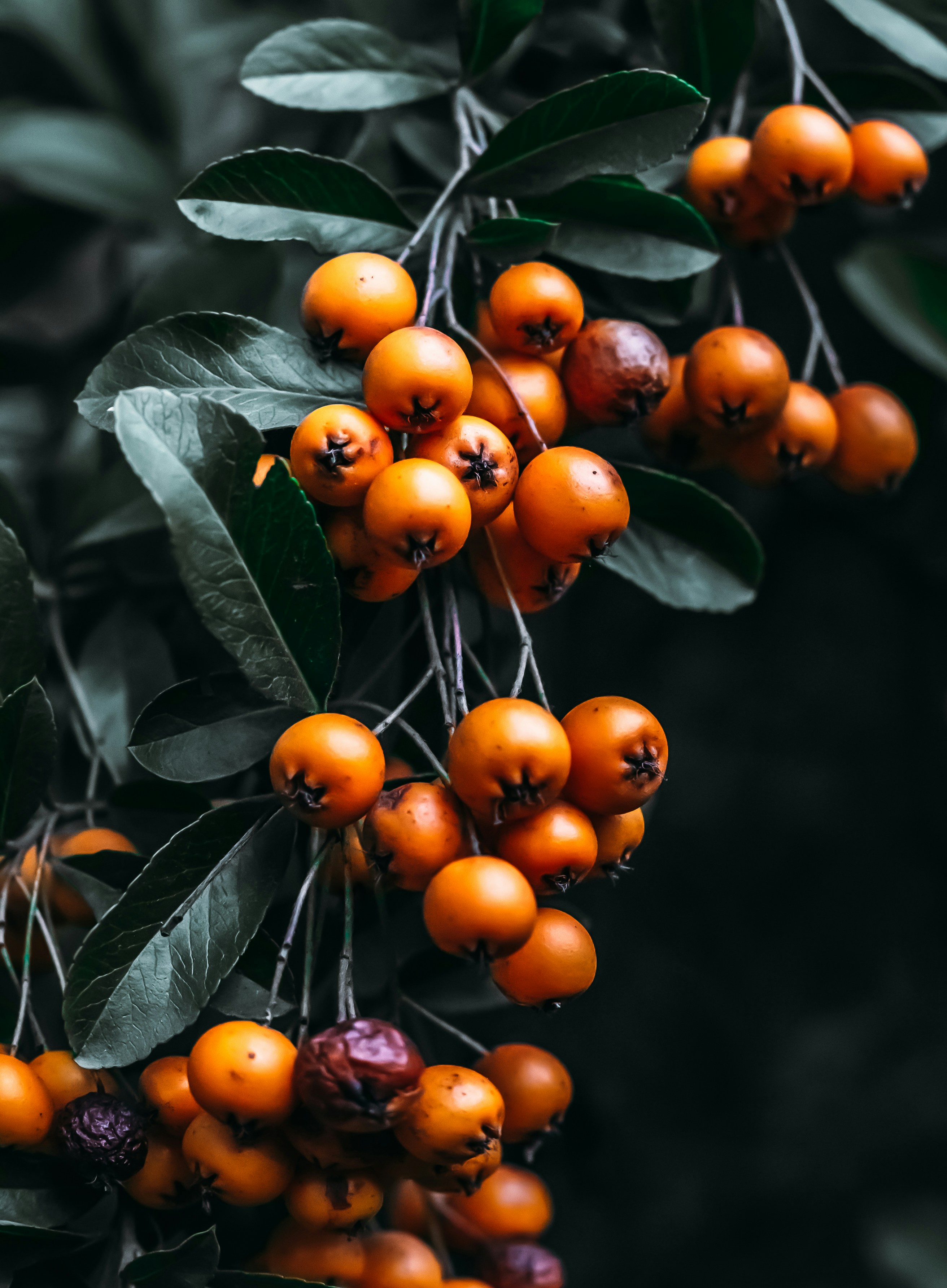 Photo by wojtekpaczes