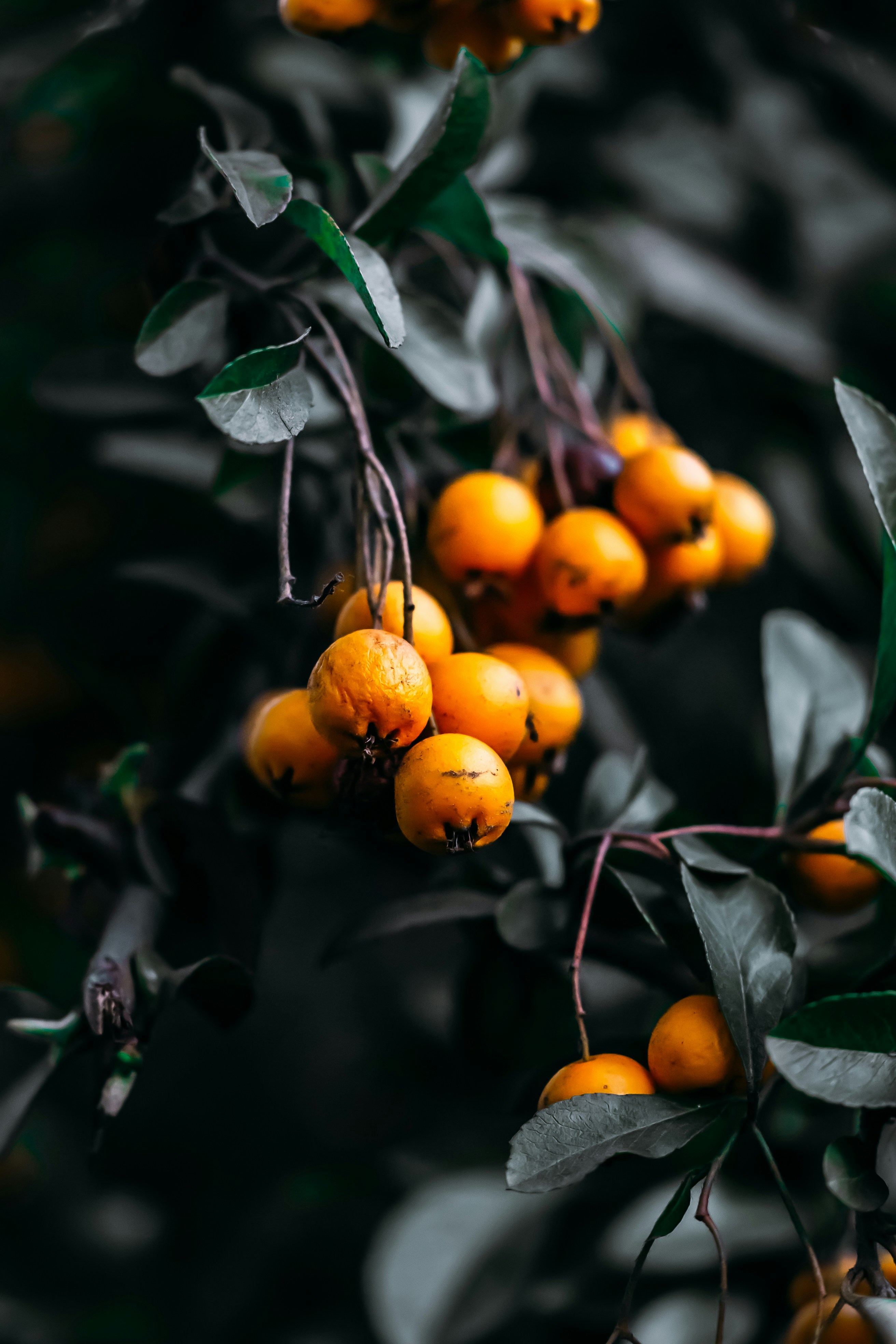 Photo by wojtekpaczes