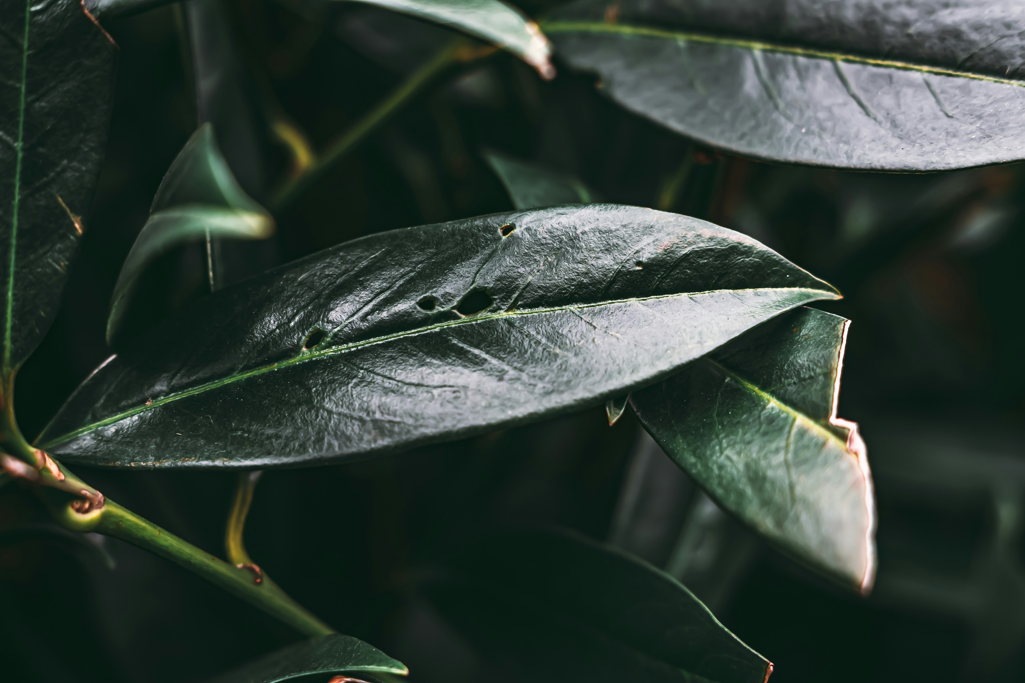 Photo by wojtekpaczes