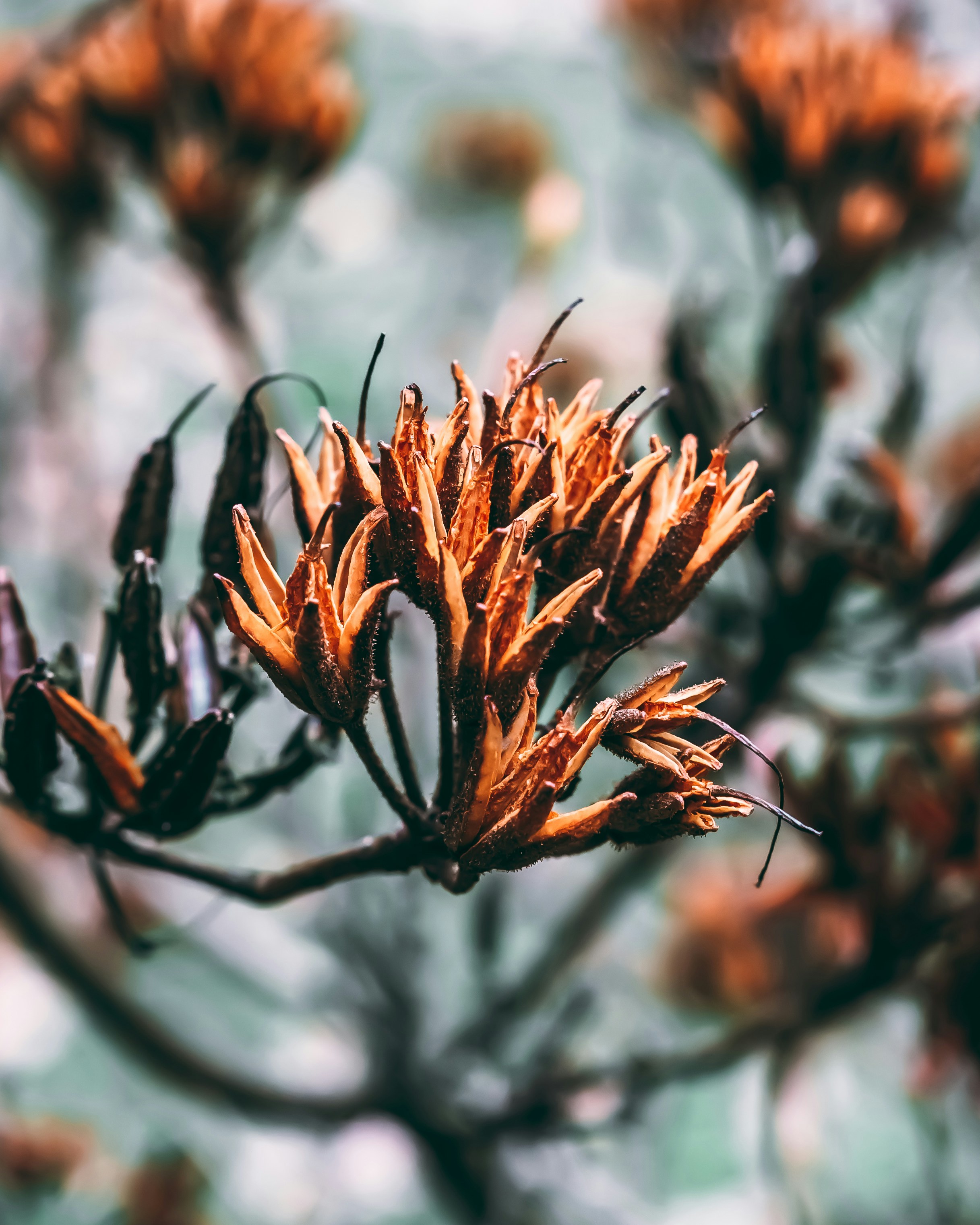 Photo by wojtekpaczes