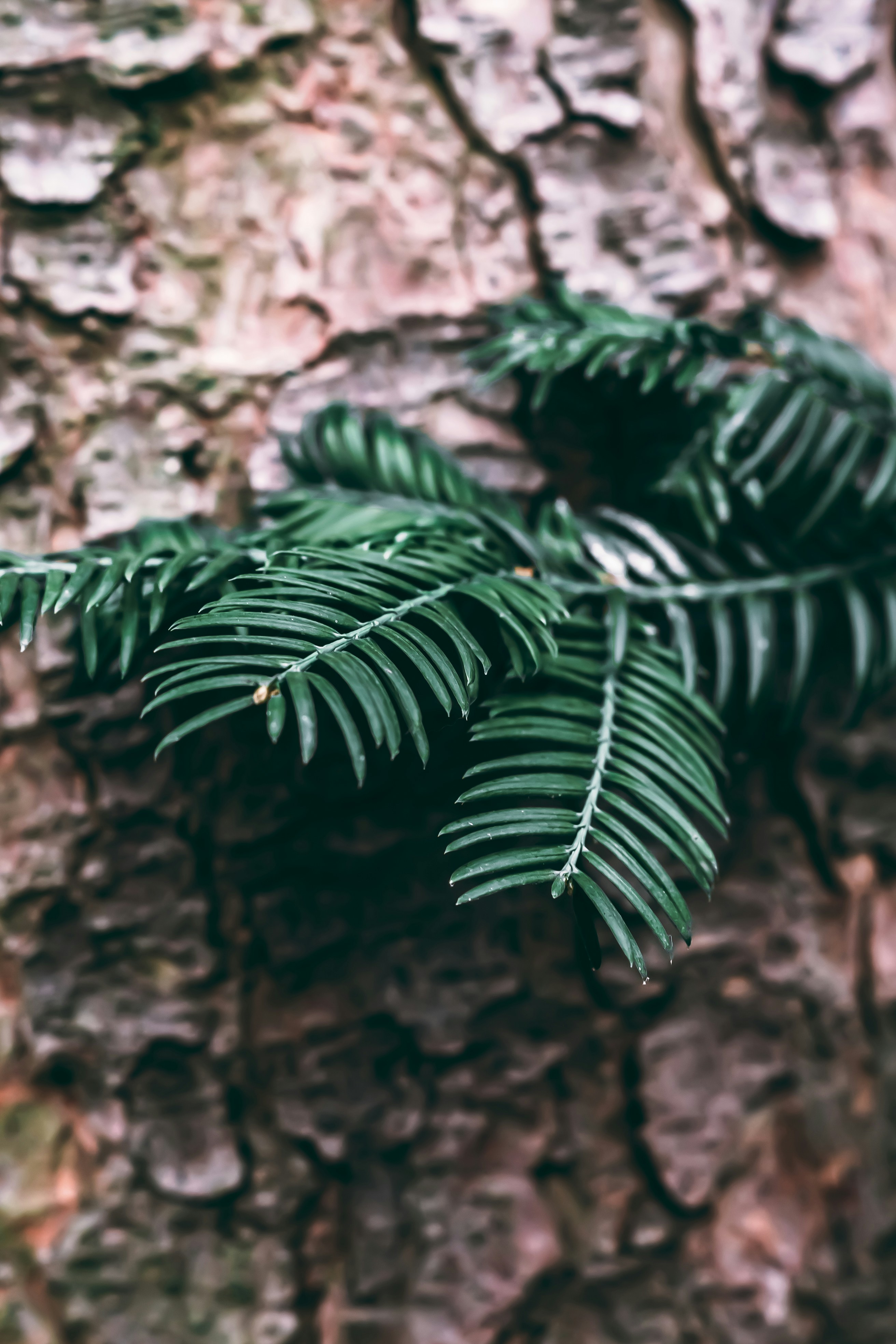 Photo by wojtekpaczes