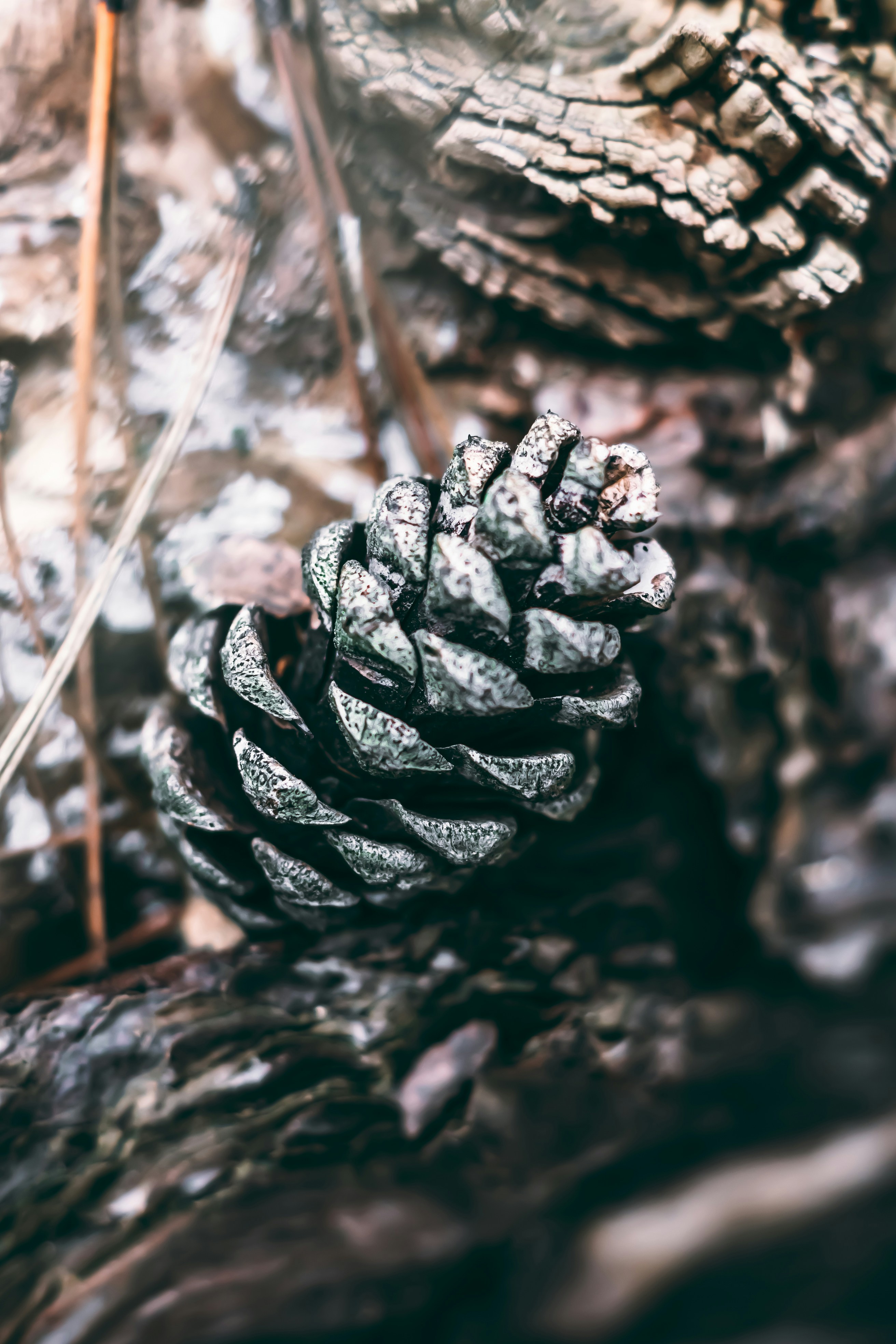 Photo by wojtekpaczes