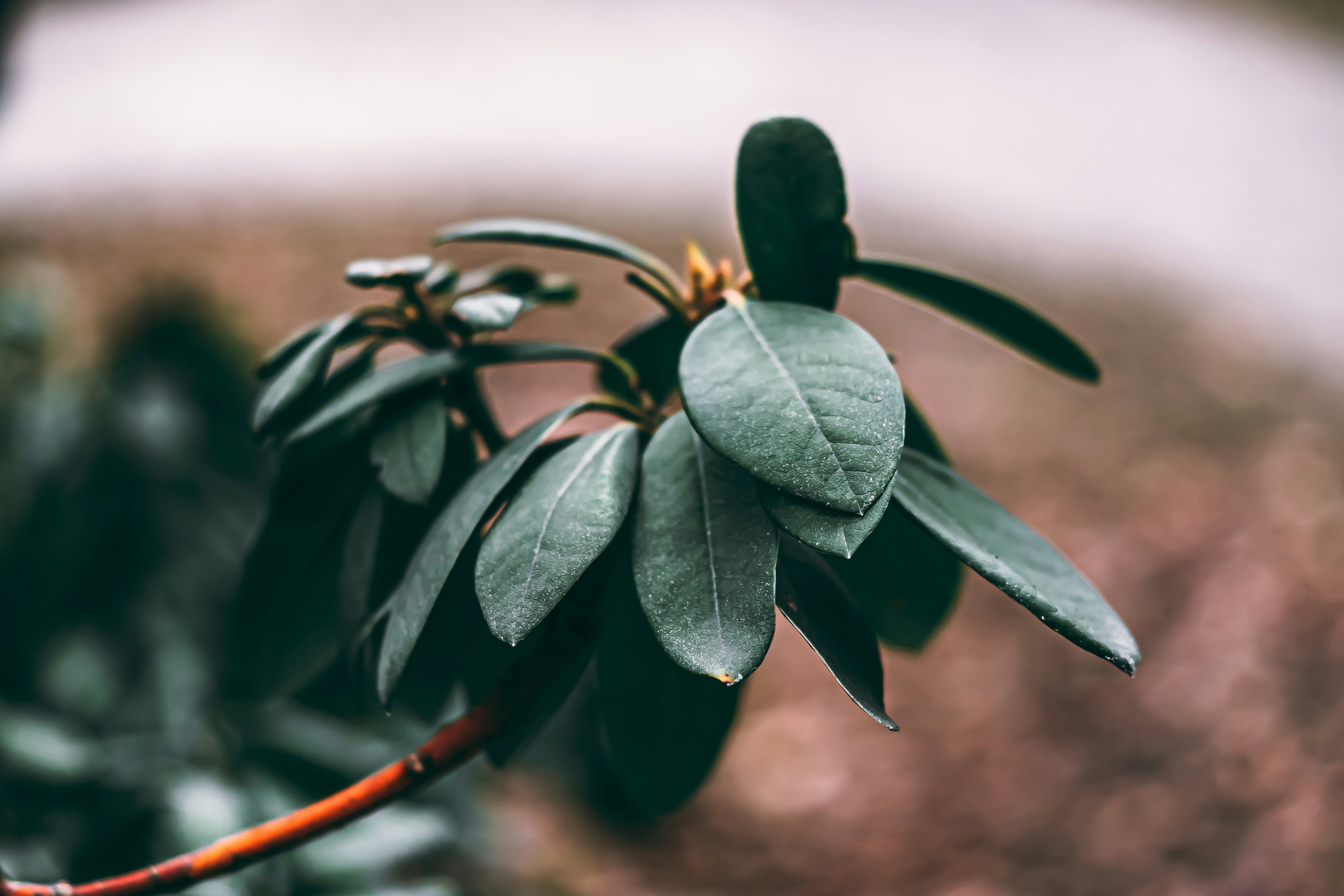 Photo by wojtekpaczes