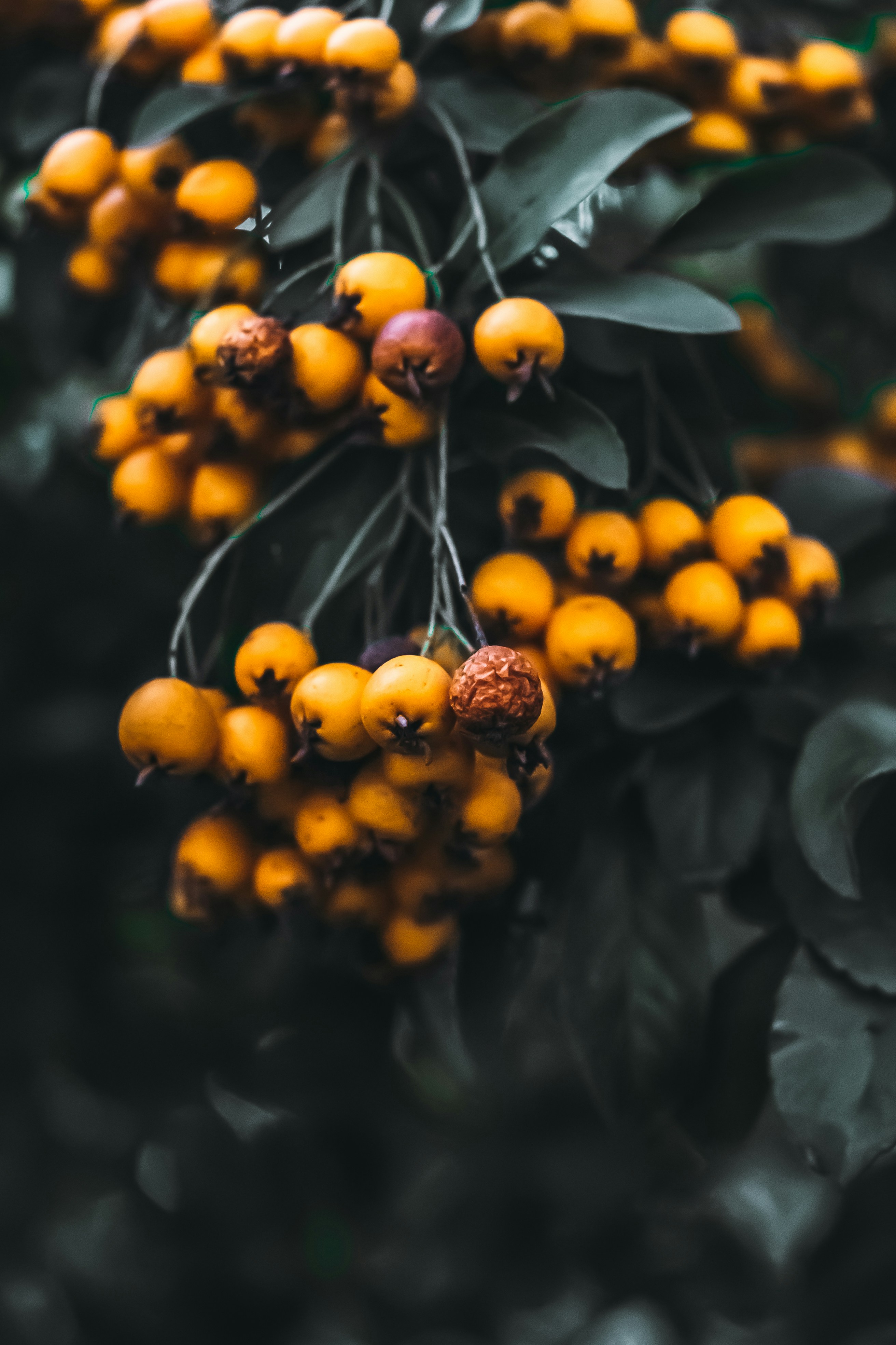 Photo by wojtekpaczes