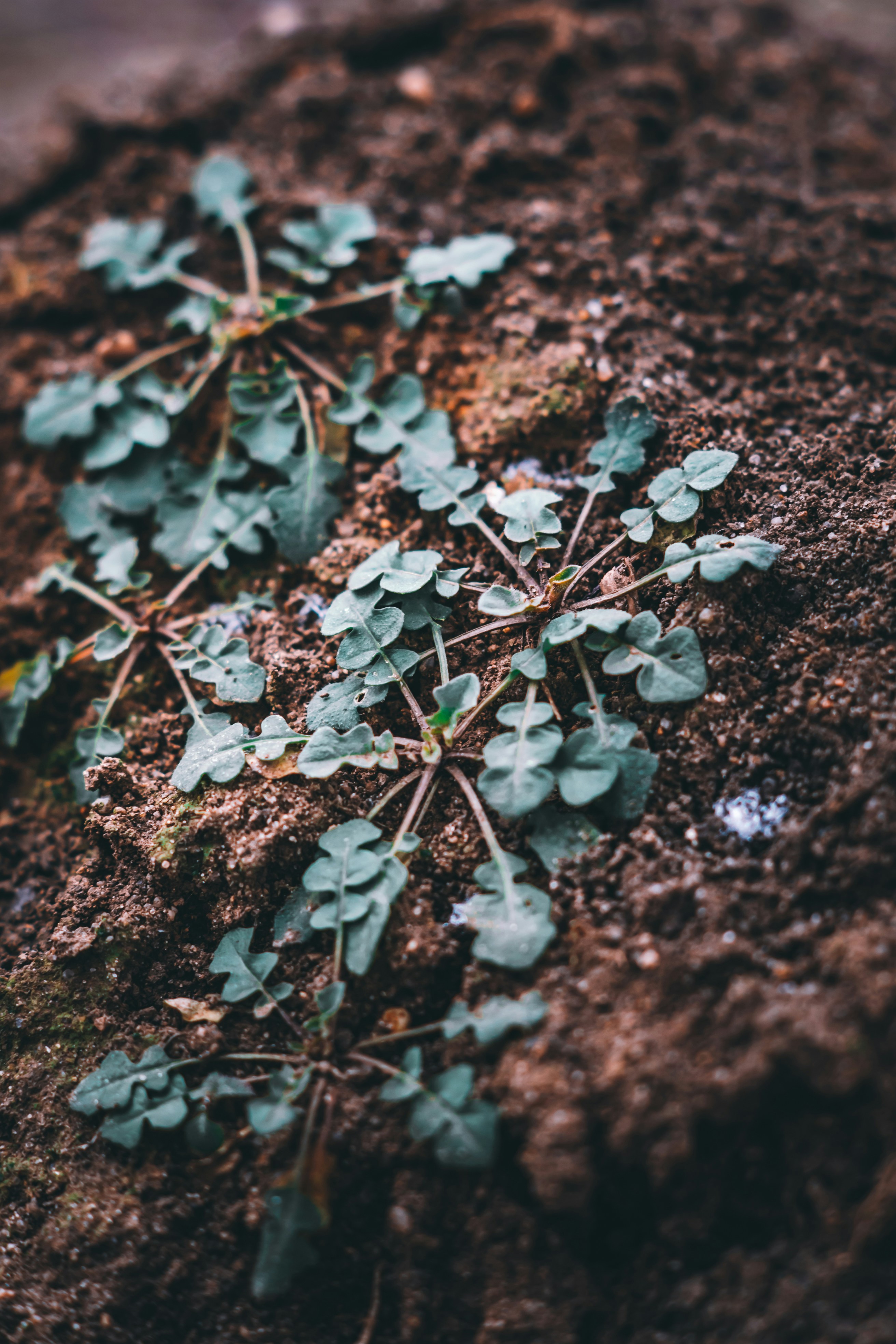 Photo by wojtekpaczes