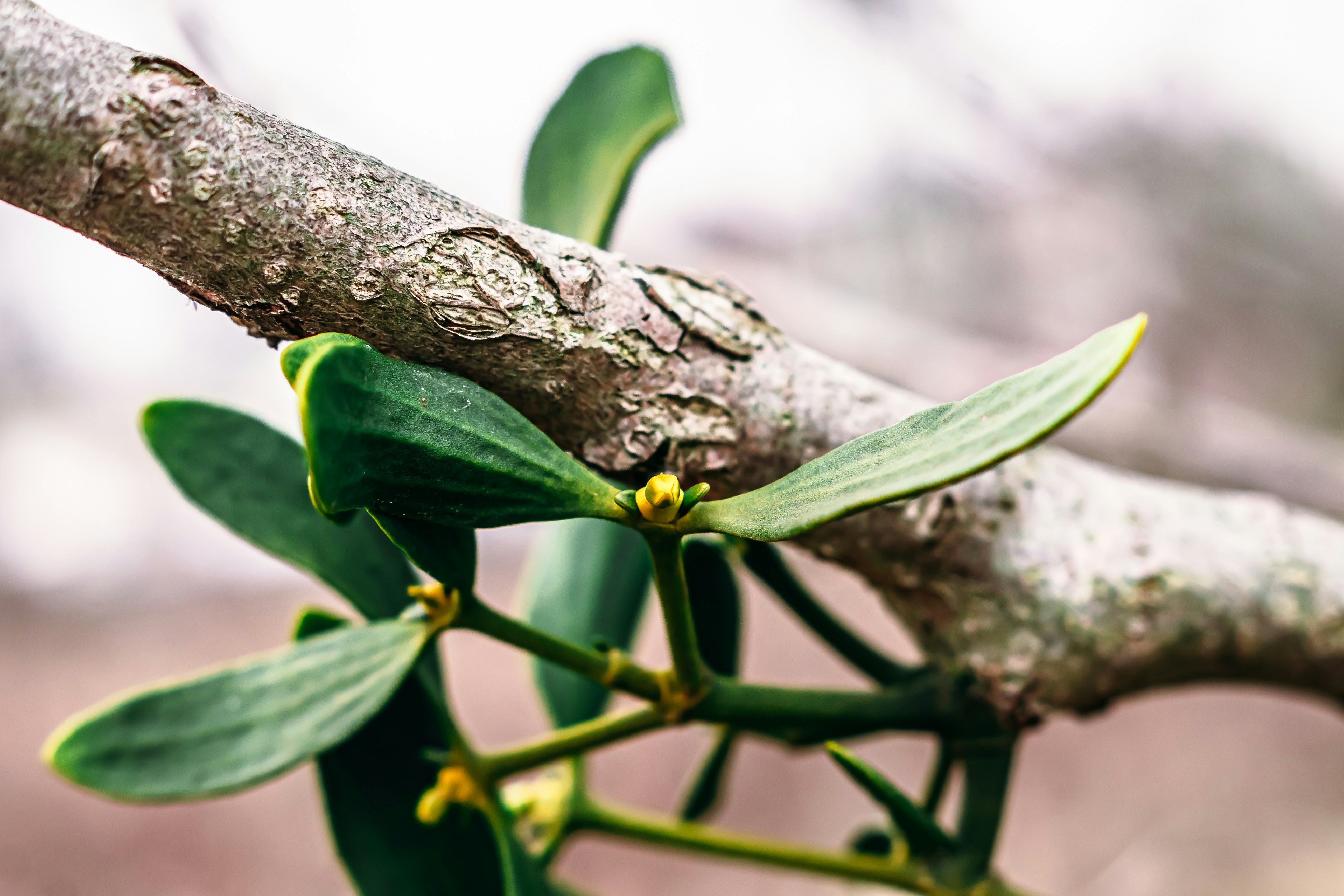 Photo by wojtekpaczes