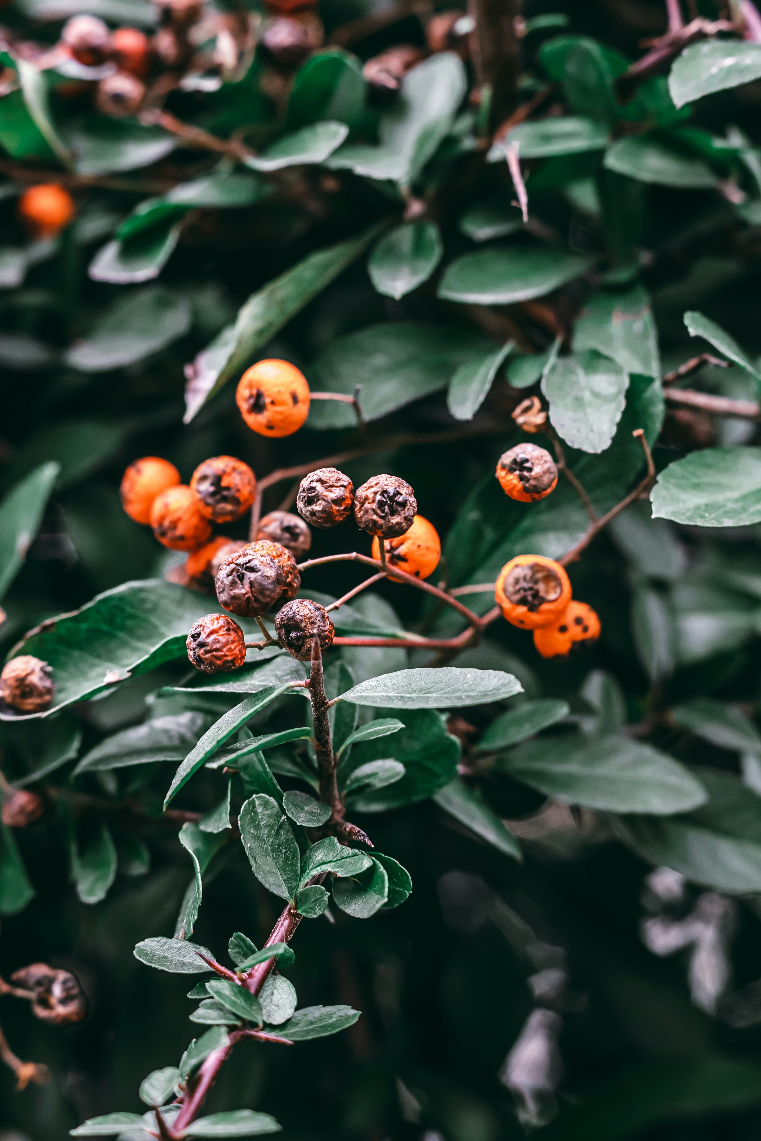 Photo by wojtekpaczes