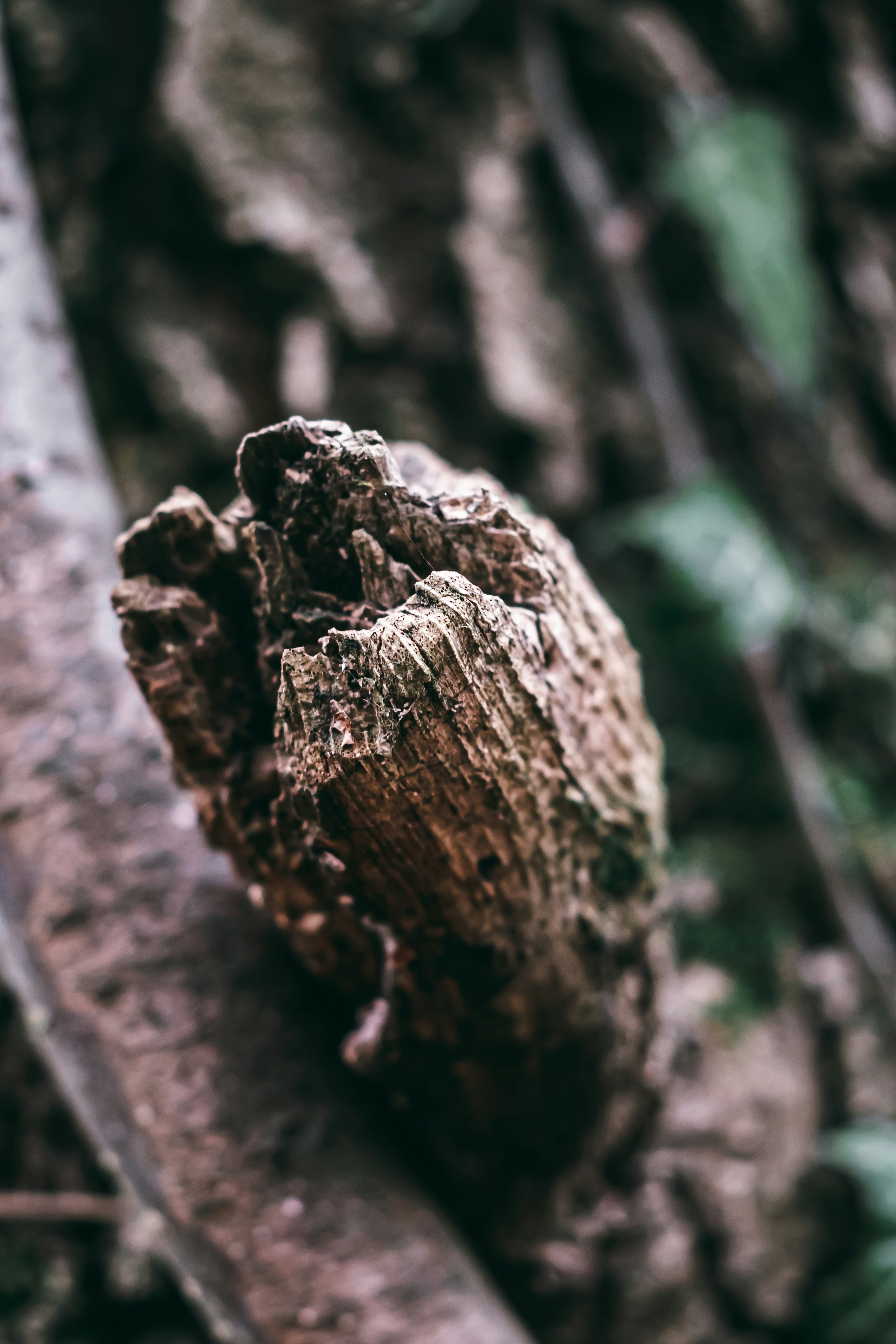 Photo by wojtekpaczes