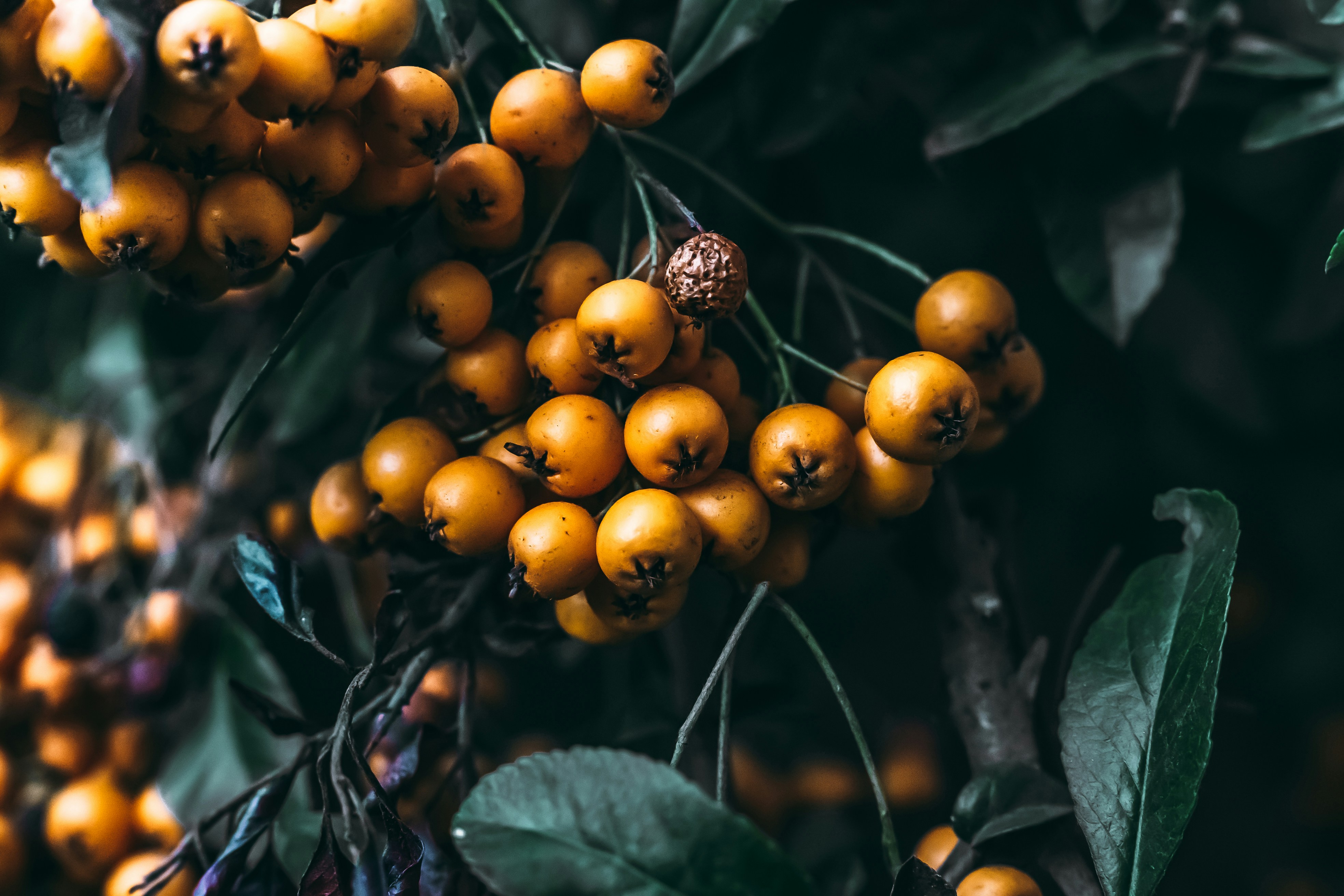 Photo by wojtekpaczes