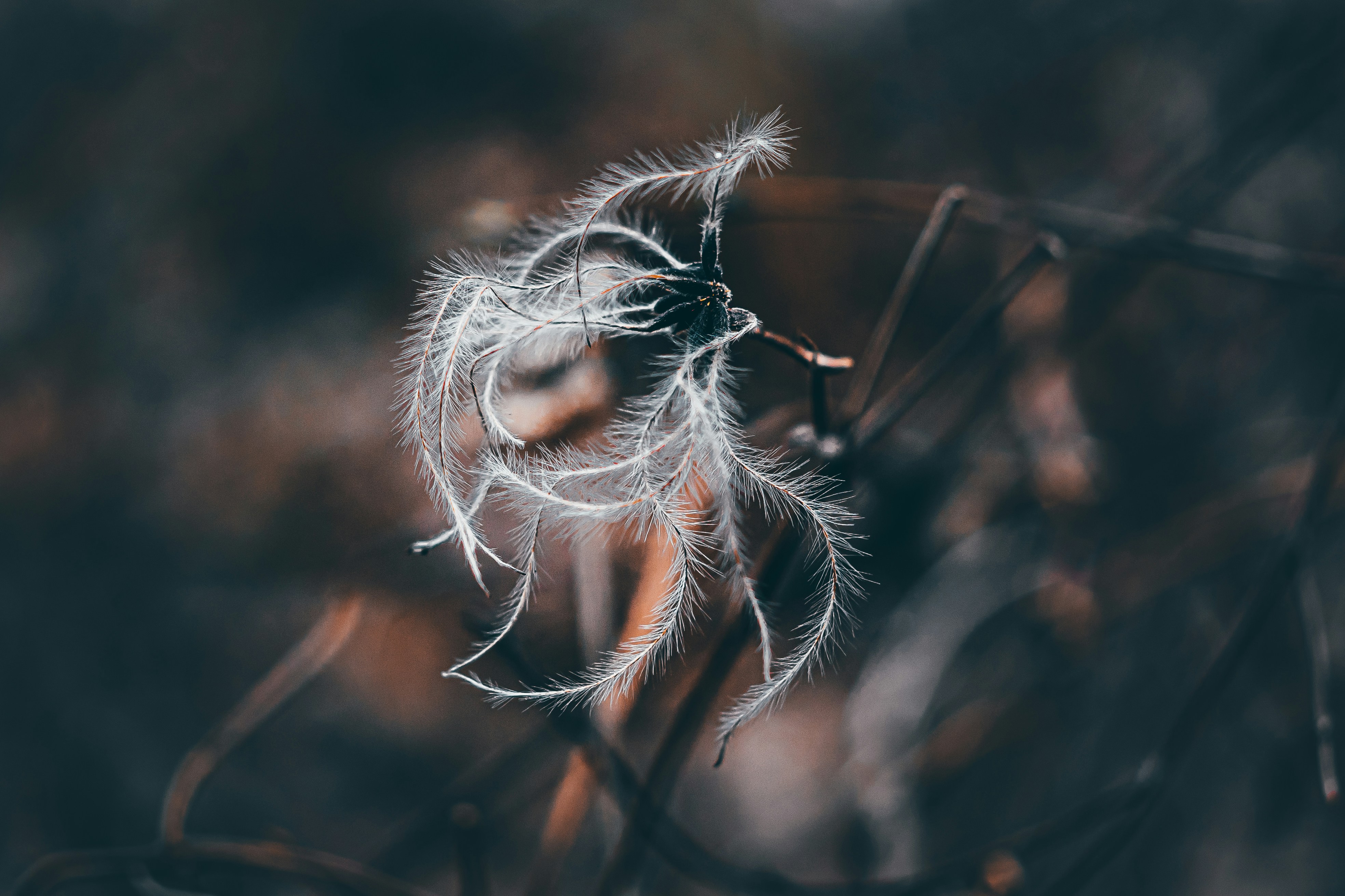 Photo by wojtekpaczes