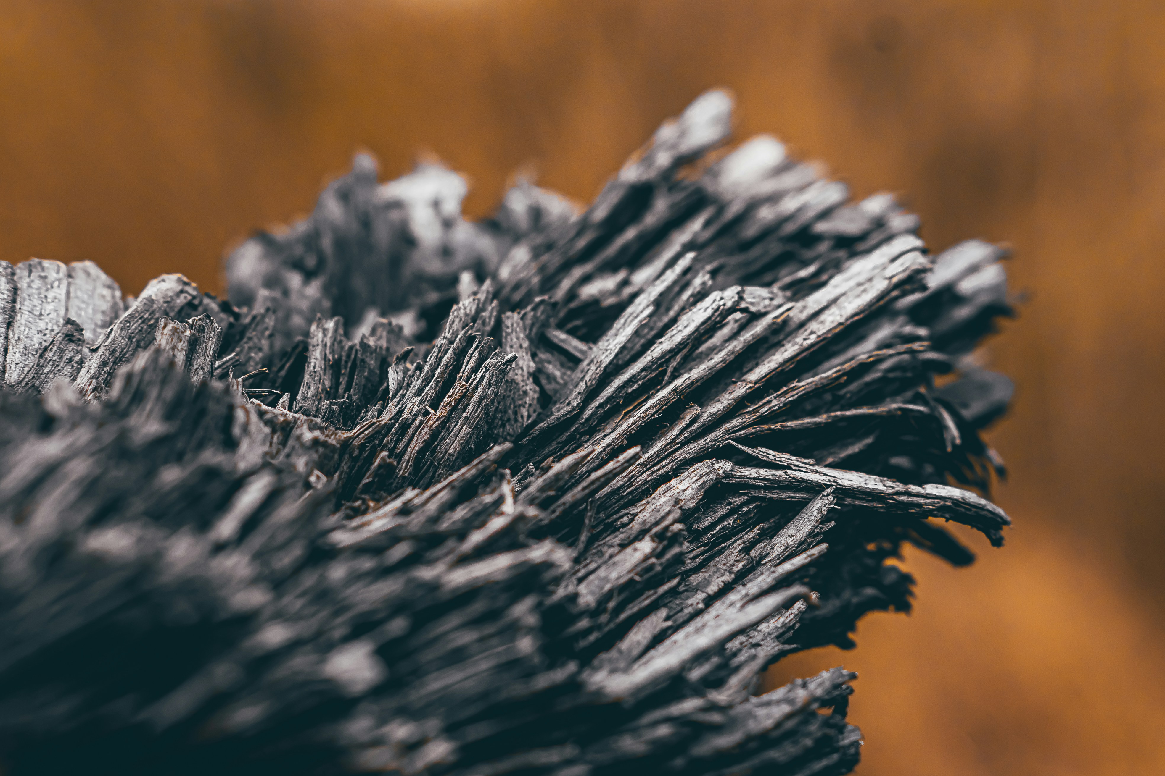 a close up of a black piece of wood