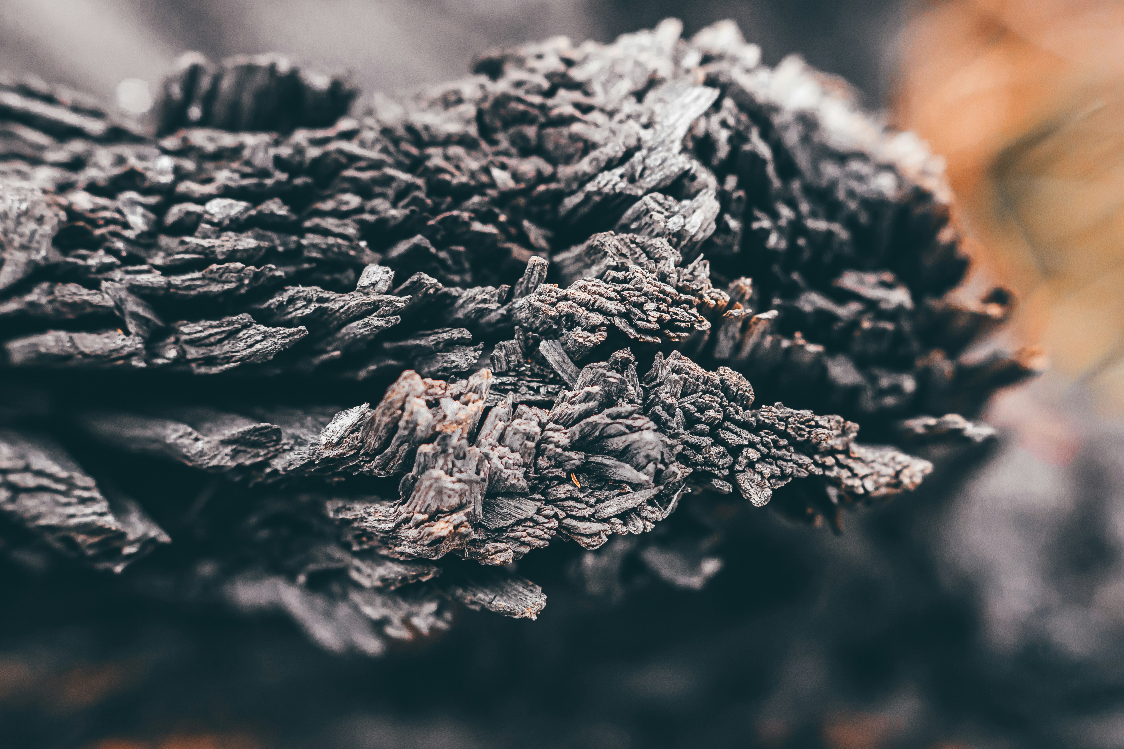 Photo by wojtekpaczes