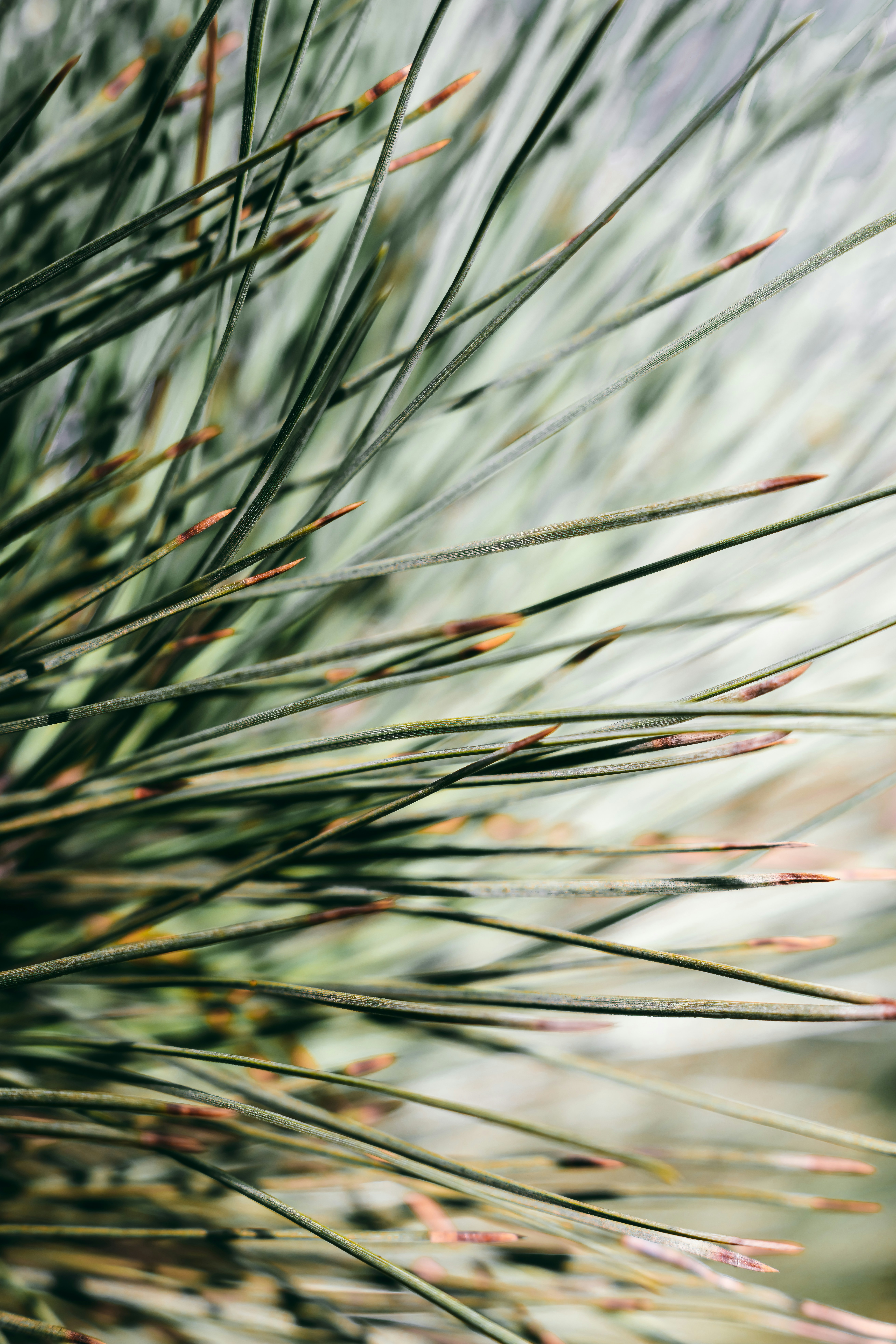 Photo by wojtekpaczes