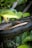 A large snake with dark, patterned scales is coiled among lush green leaves. The texture of the snake's skin is clearly detailed against the surrounding foliage, displaying a mix of black and brown colors with iridescent highlights.