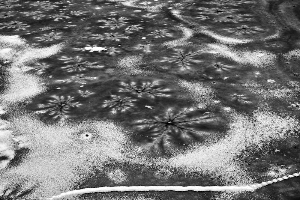 a black and white photo of snow flakes