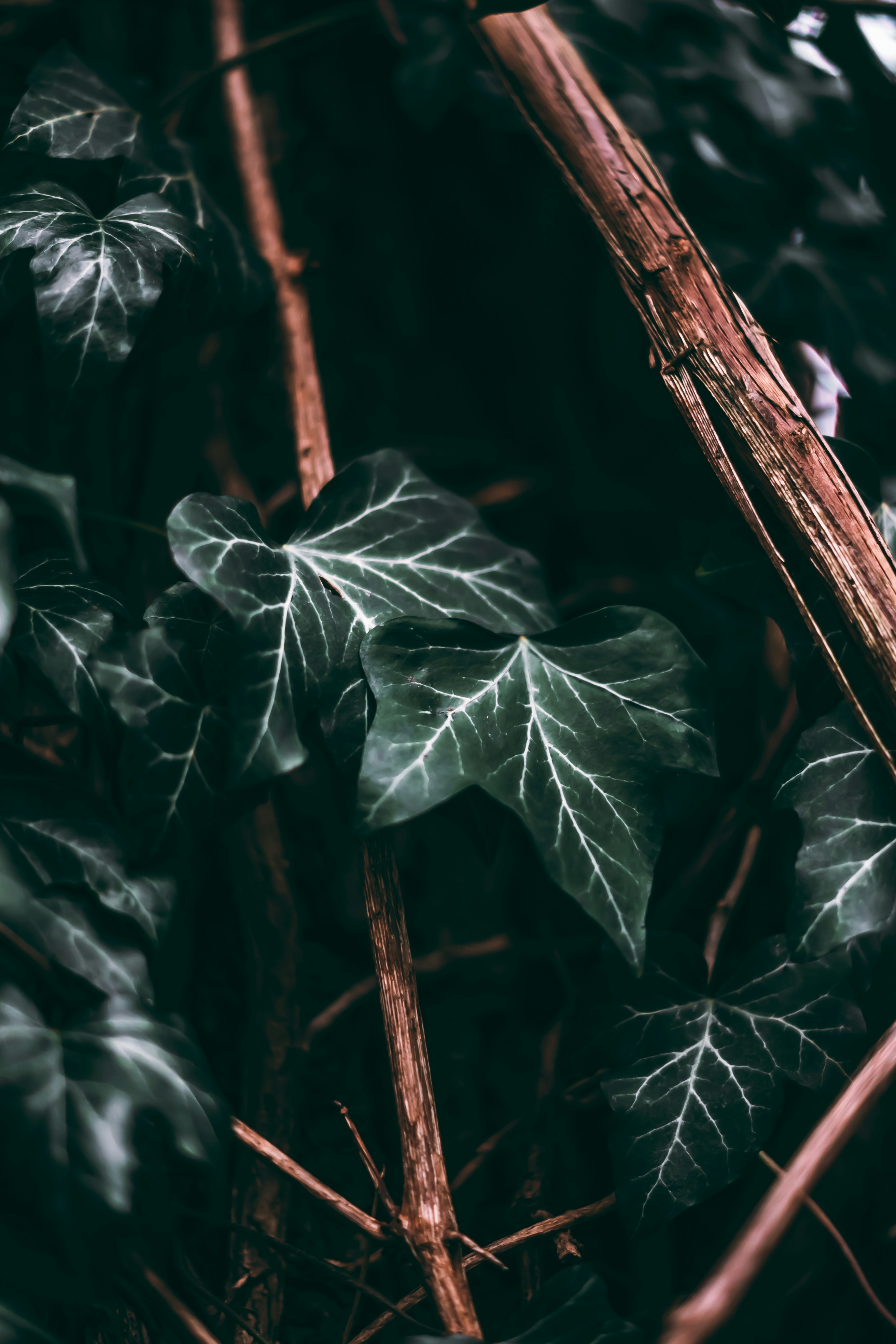 Photo by wojtekpaczes