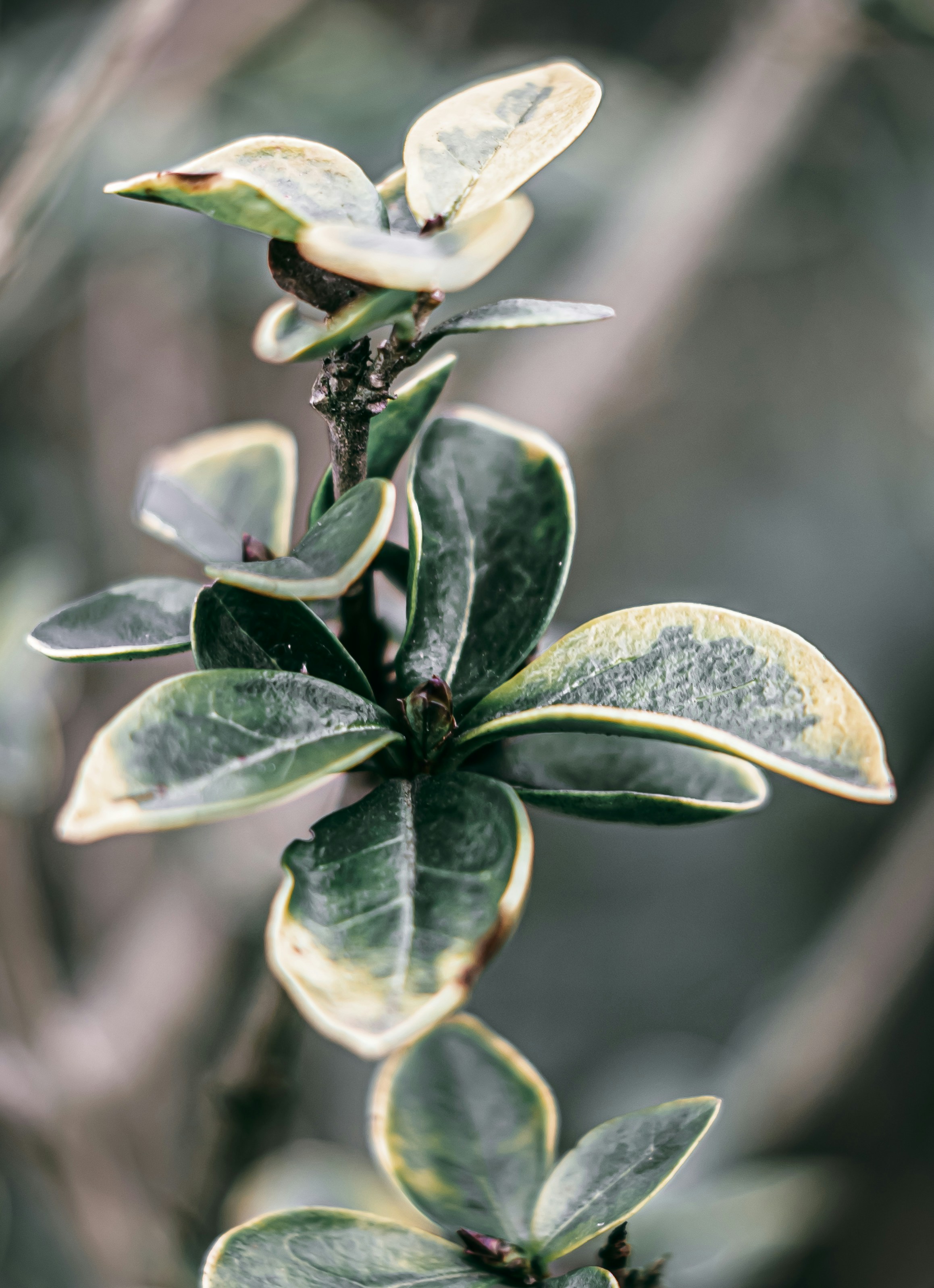 Photo by wojtekpaczes