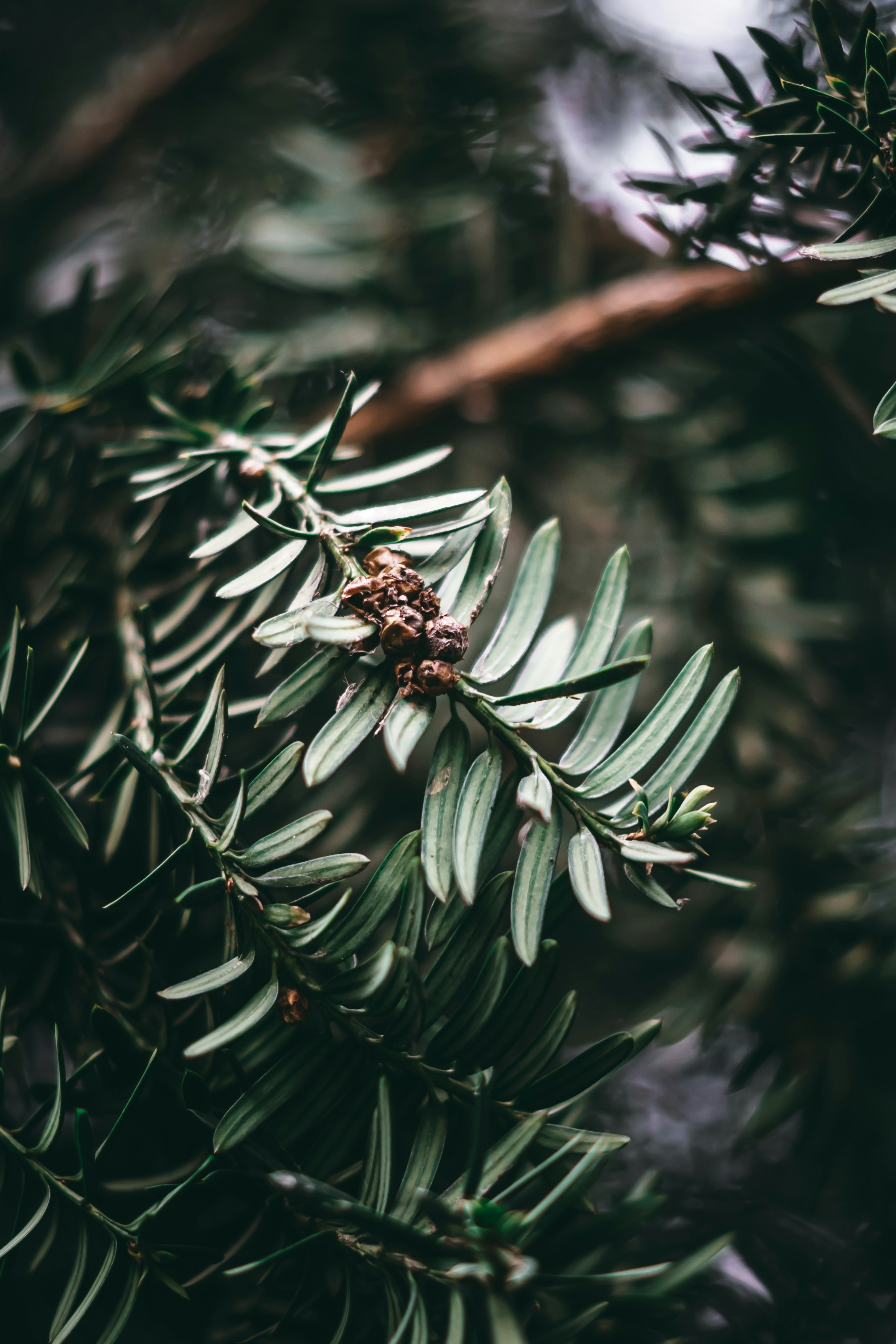 Photo by wojtekpaczes