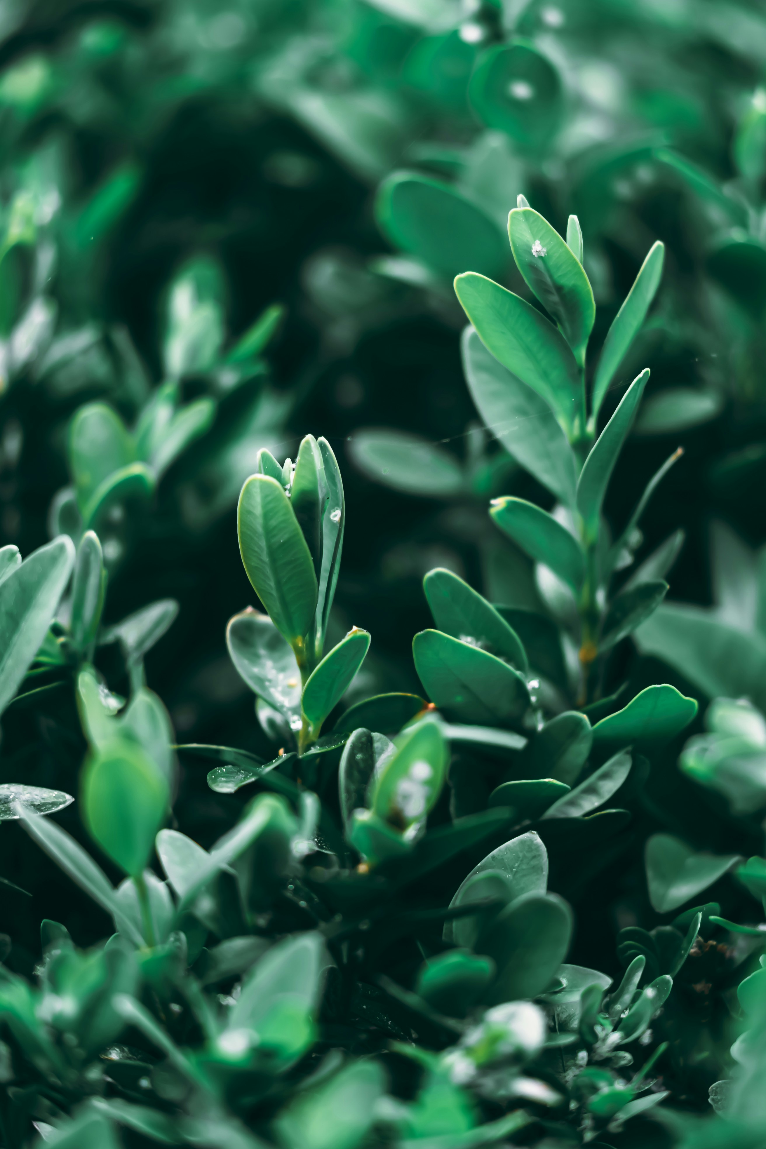 Photo by wojtekpaczes