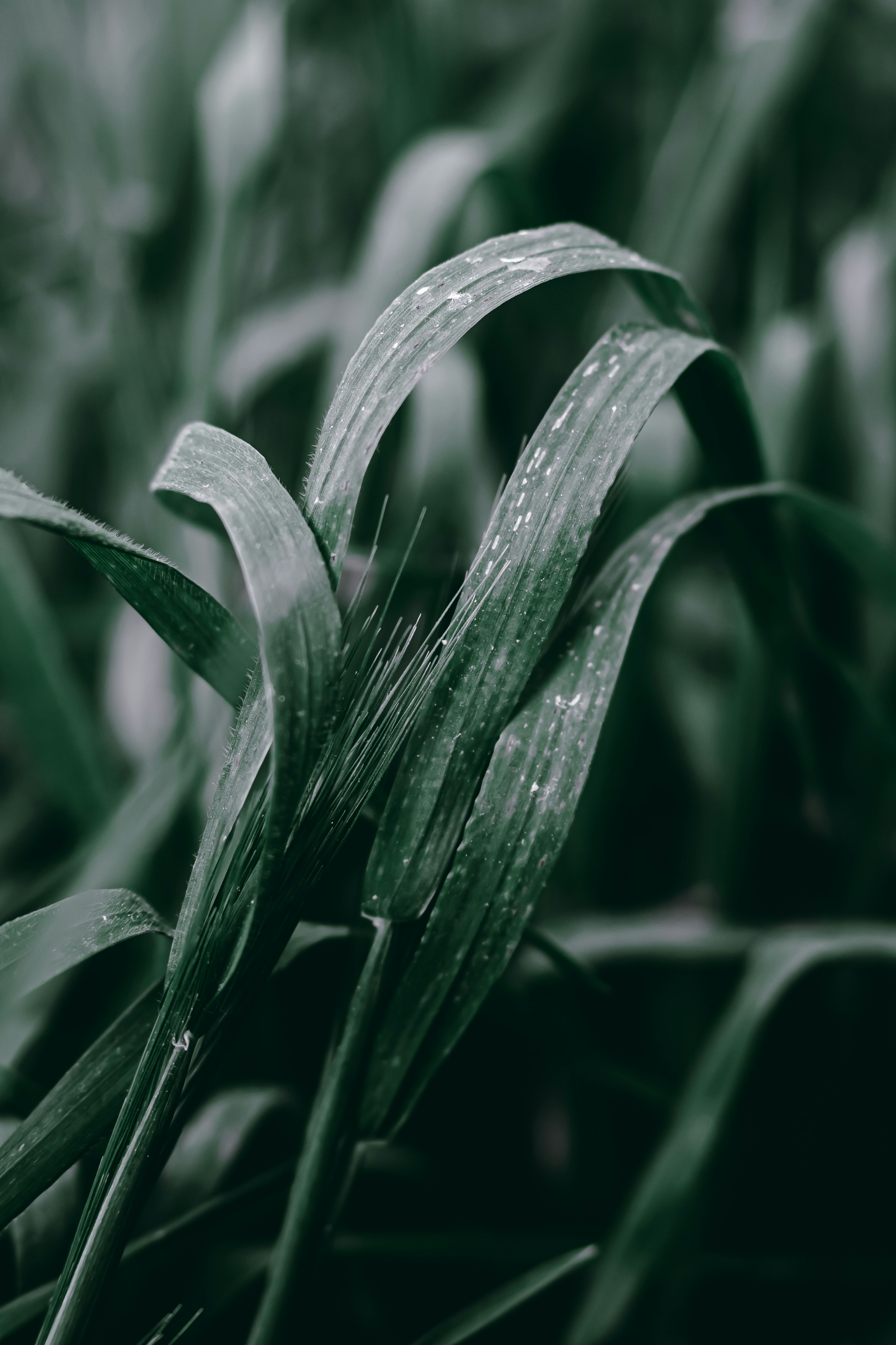 Photo by wojtekpaczes