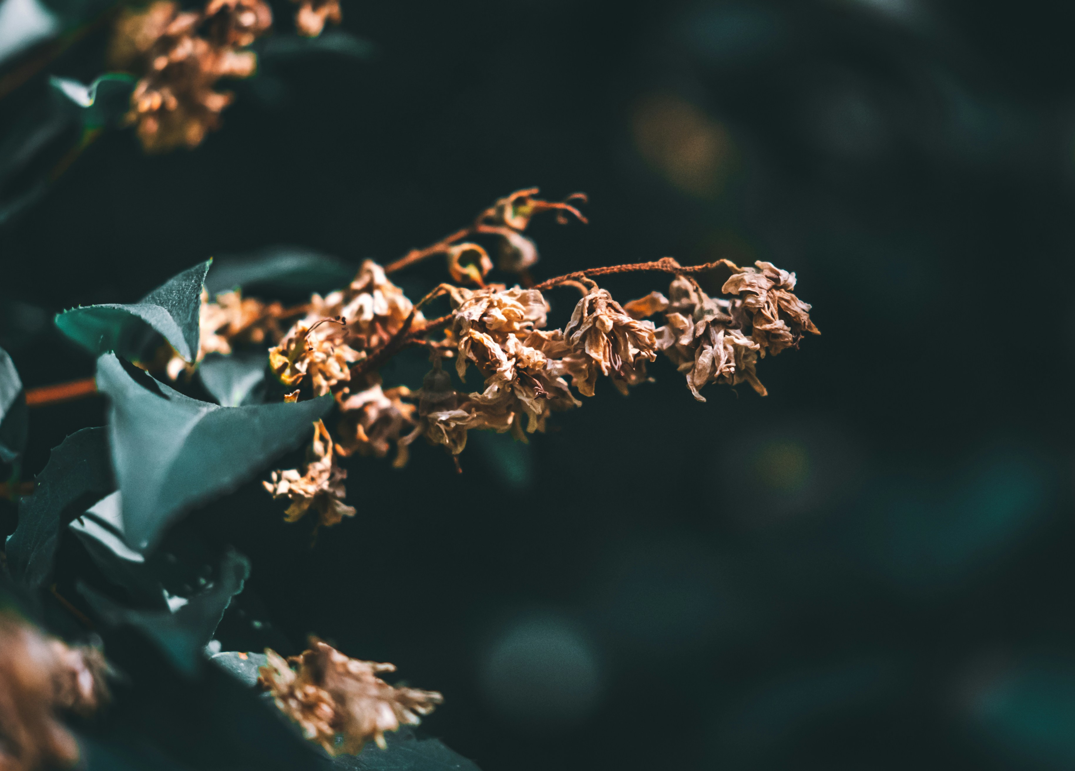 Photo by wojtekpaczes