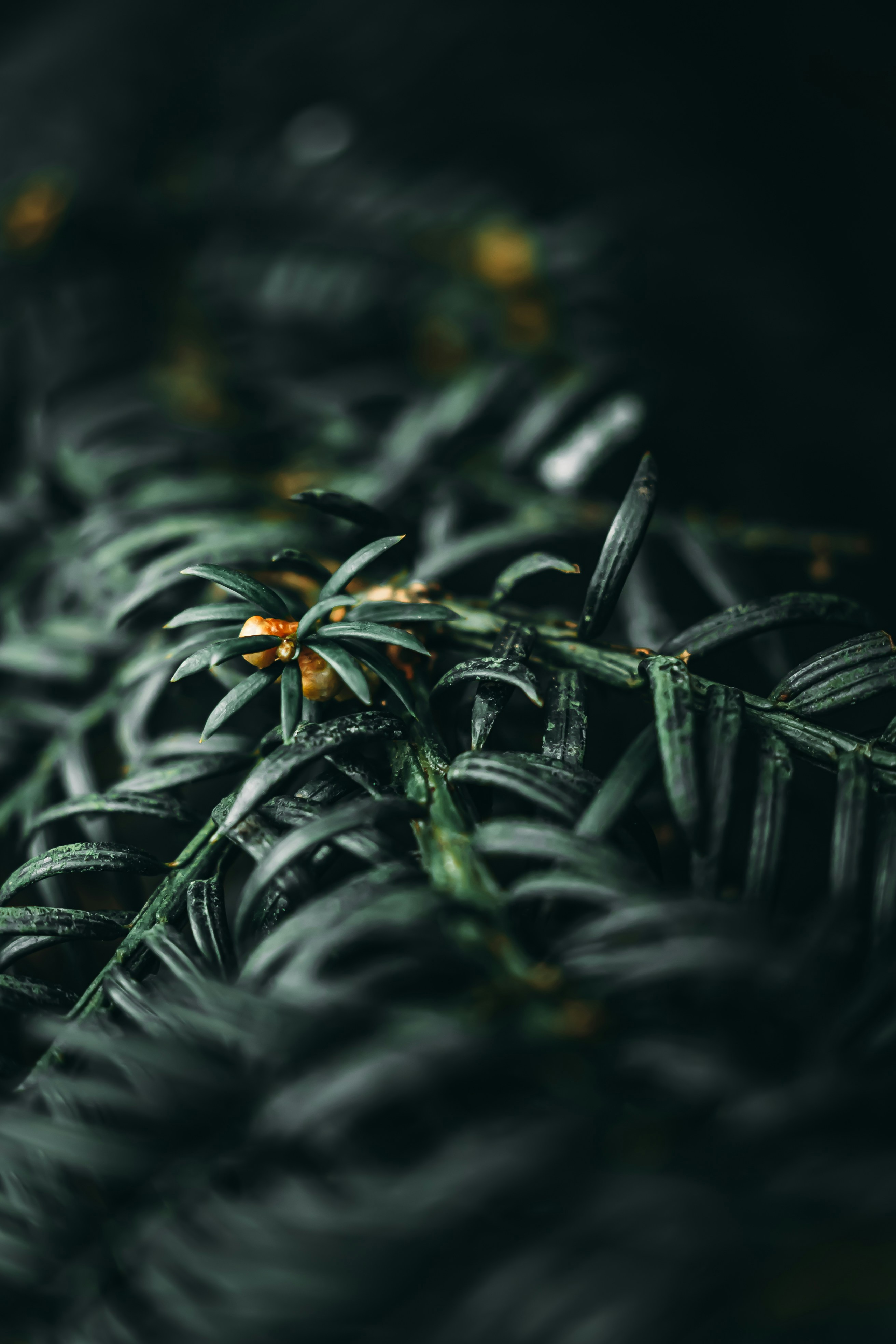 Photo by wojtekpaczes