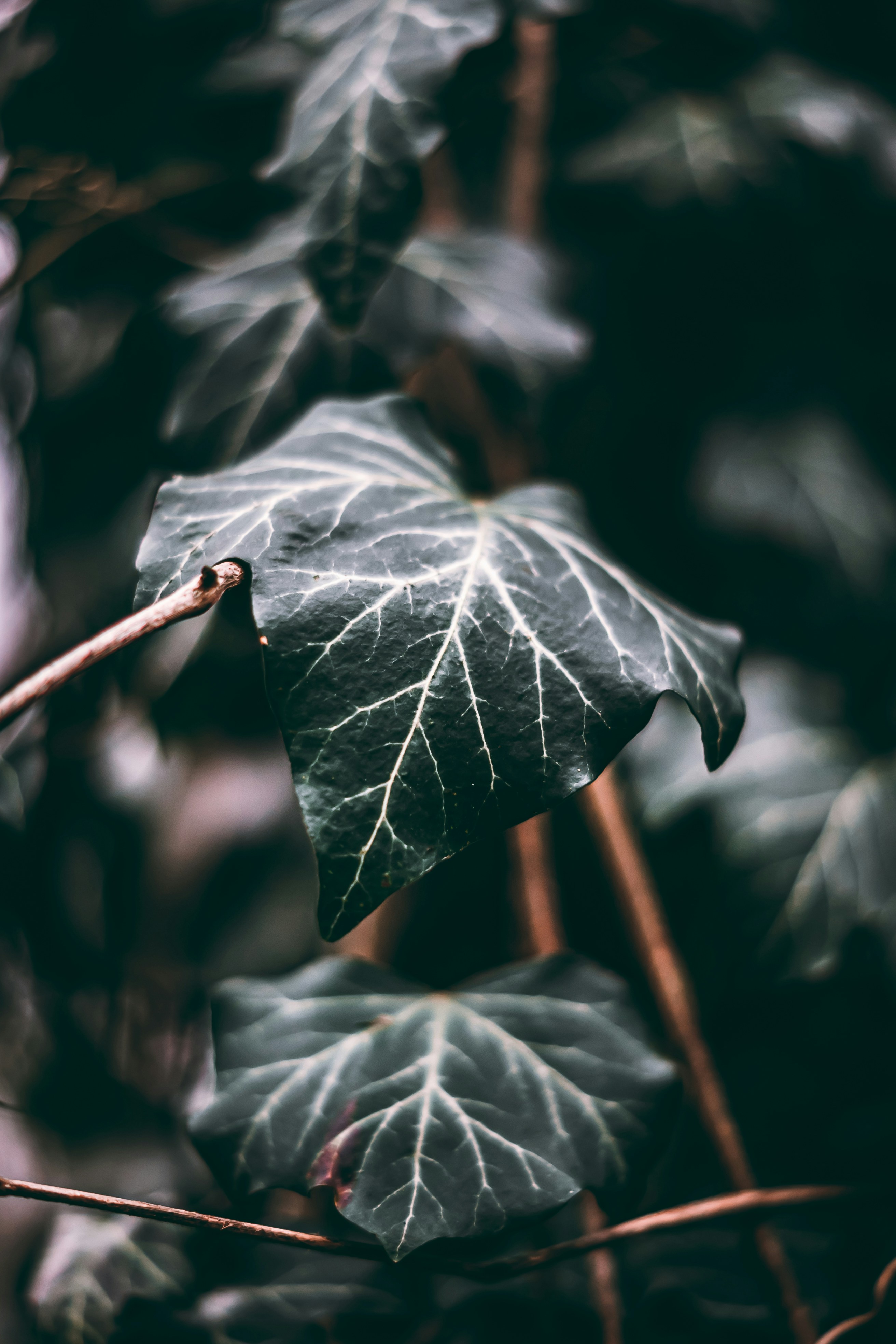 Photo by wojtekpaczes