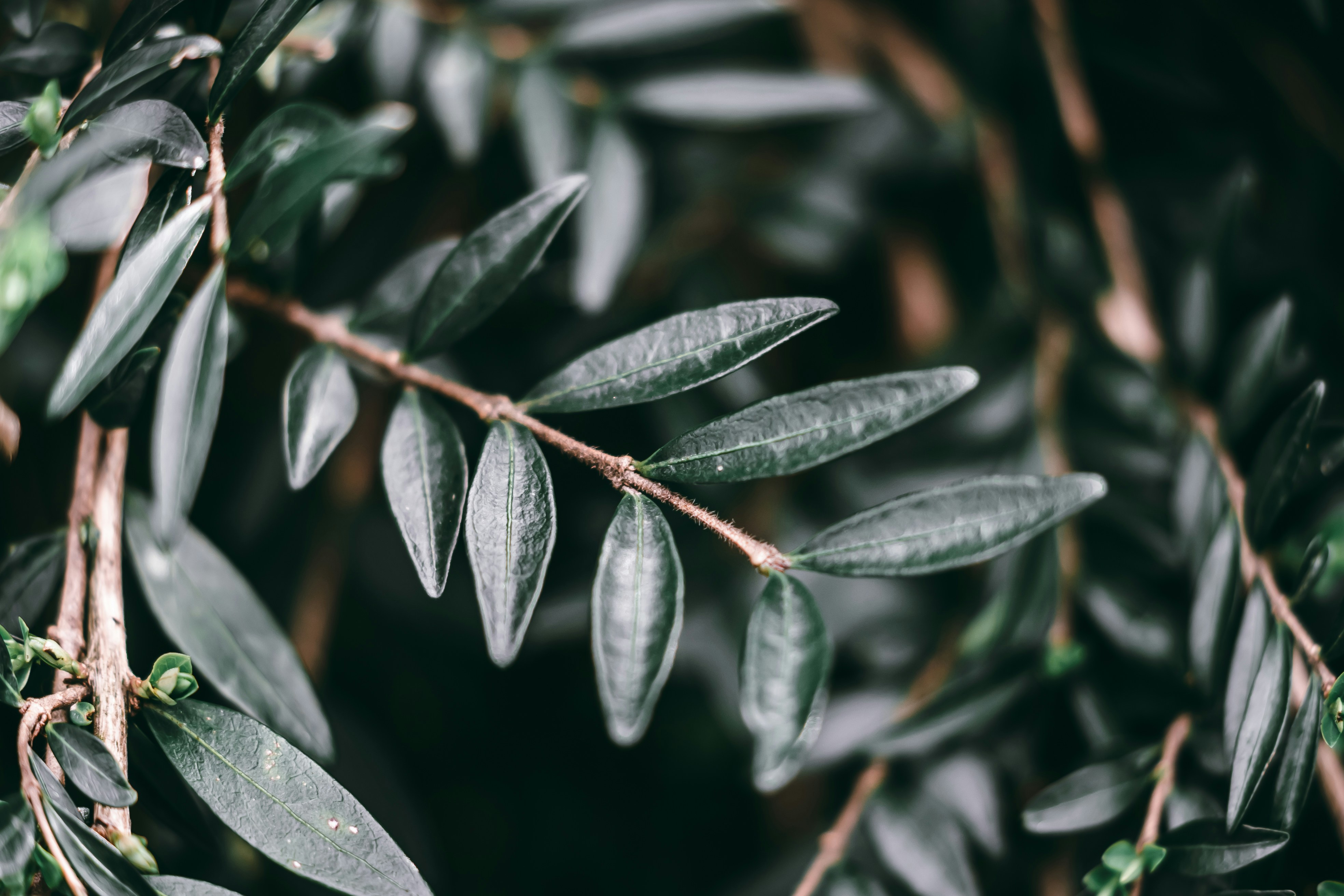 Photo by wojtekpaczes